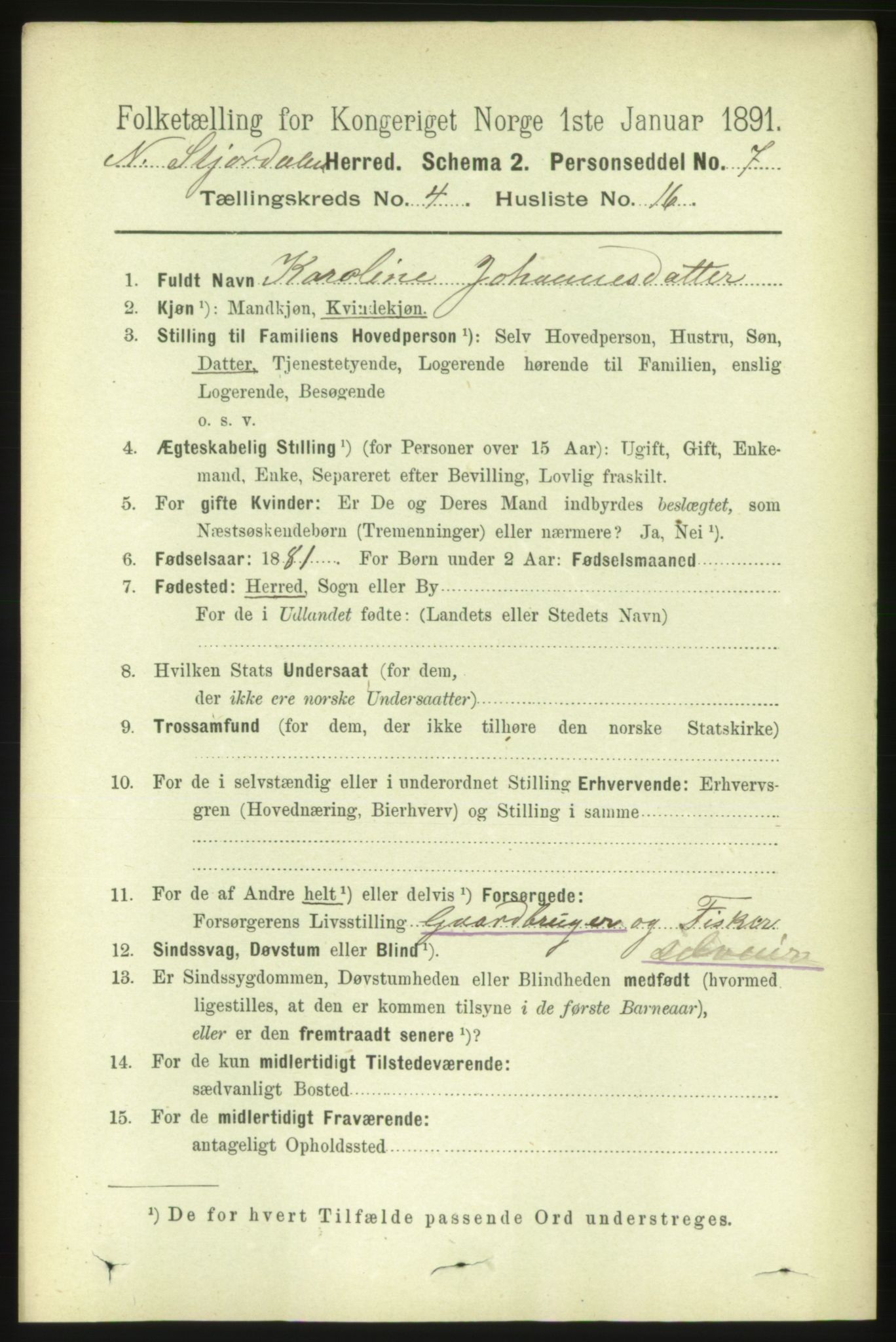 RA, 1891 census for 1714 Nedre Stjørdal, 1891, p. 1708