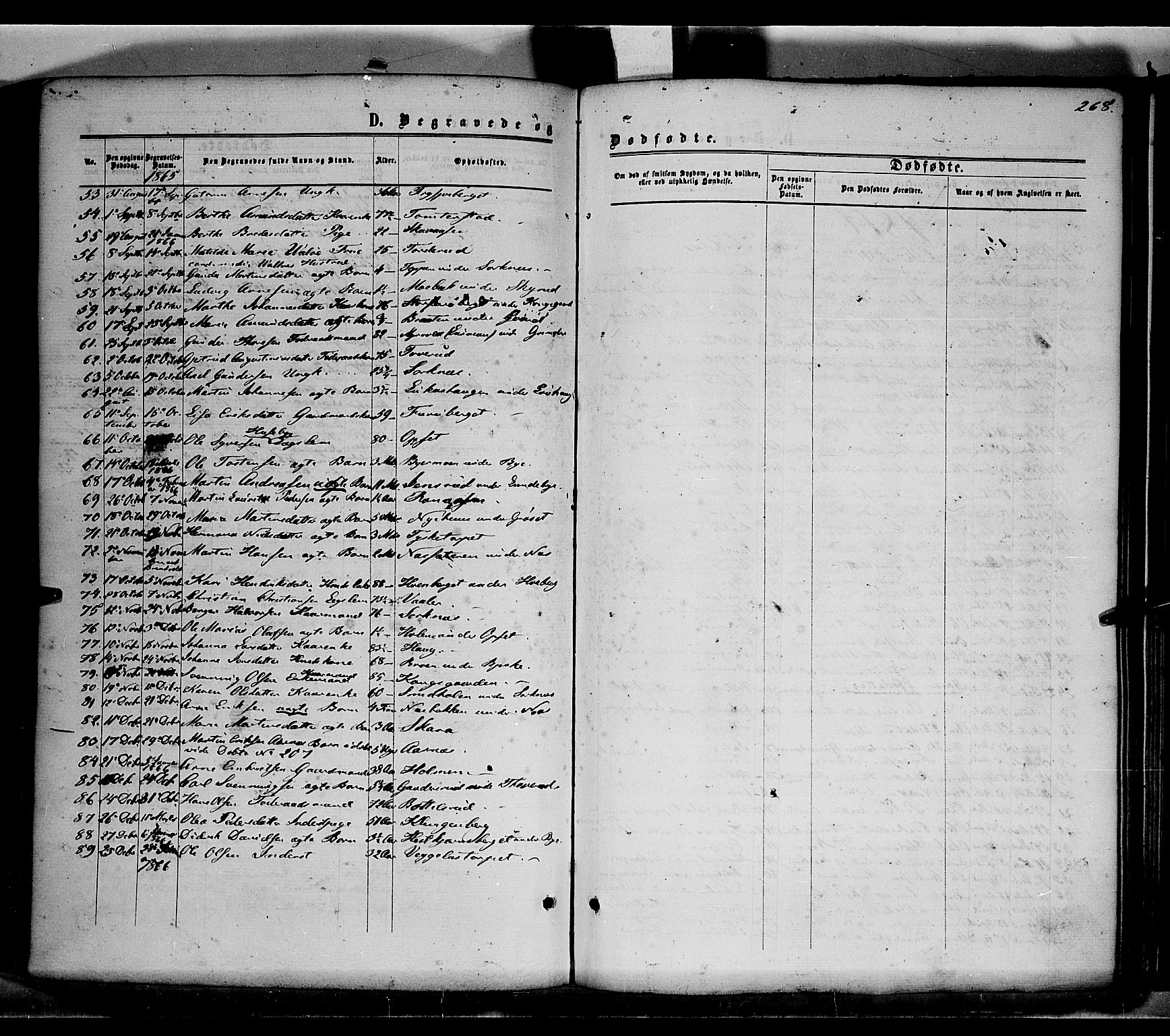 Grue prestekontor, AV/SAH-PREST-036/H/Ha/Haa/L0010: Parish register (official) no. 10, 1864-1873, p. 268