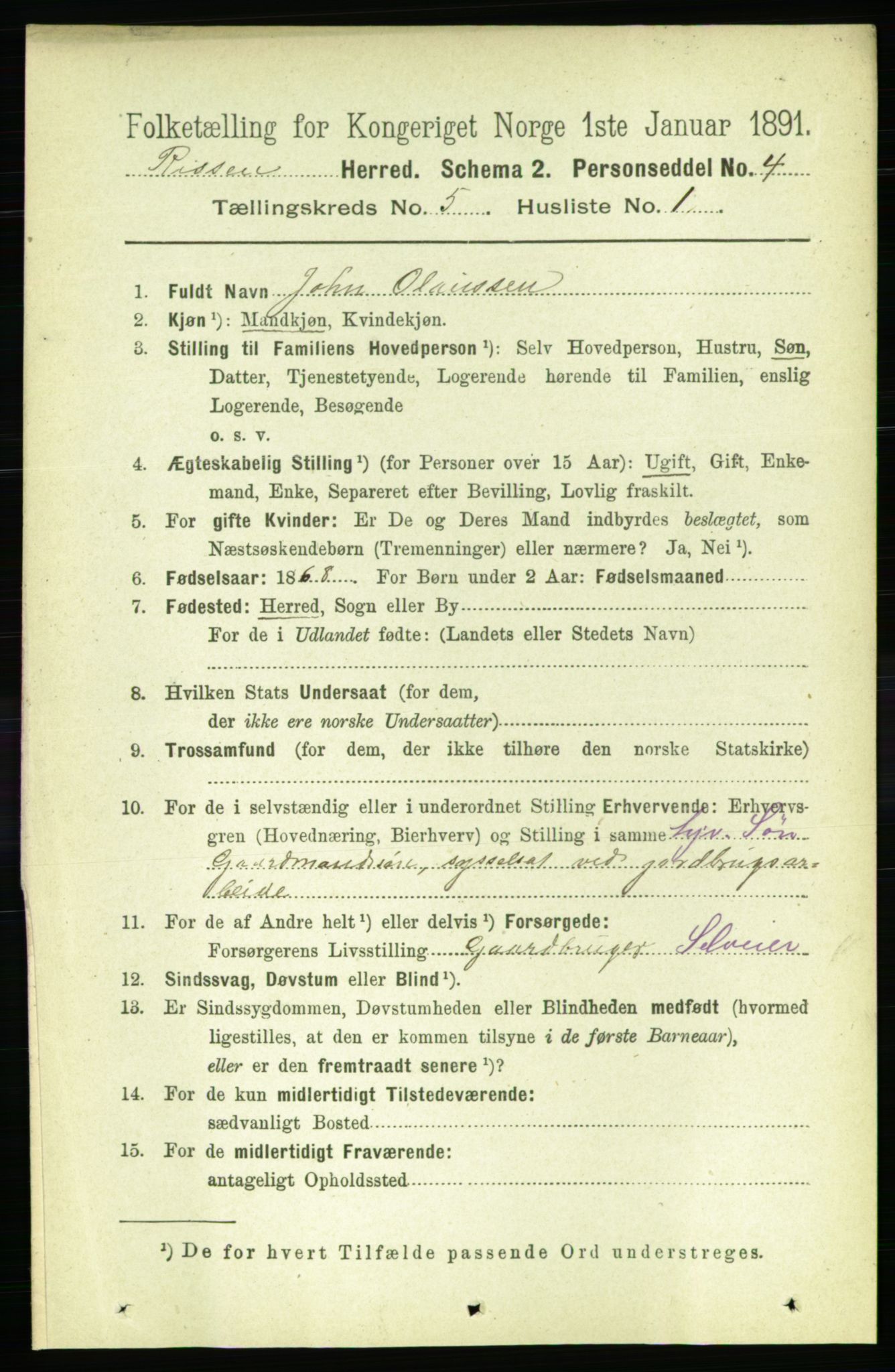 RA, 1891 census for 1624 Rissa, 1891, p. 2667