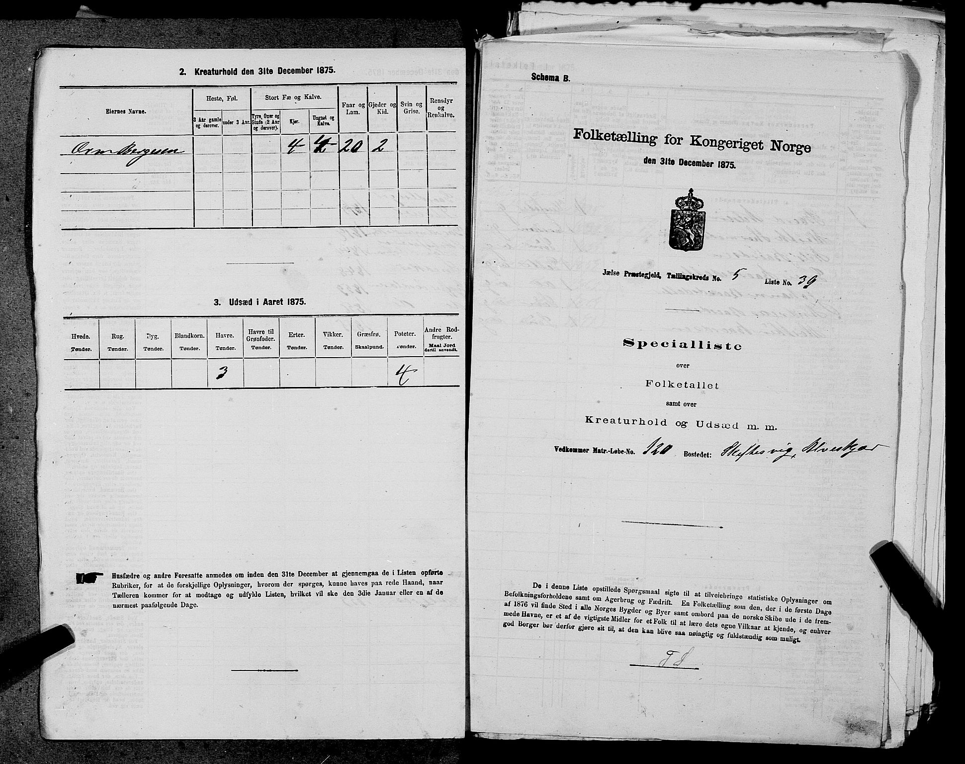 SAST, 1875 census for 1138P Jelsa, 1875, p. 491