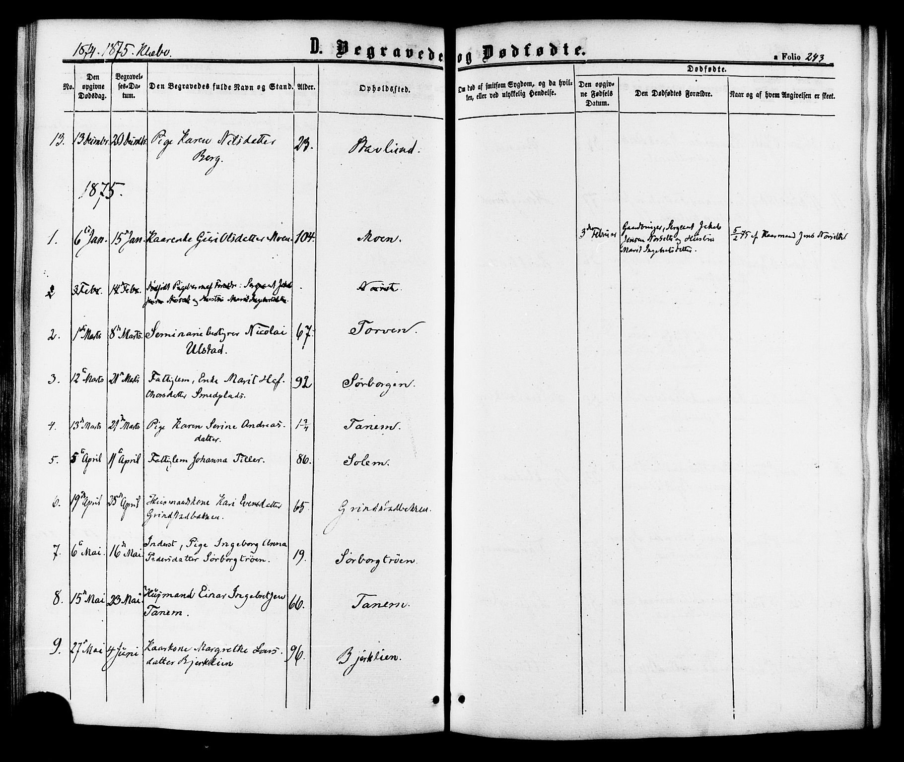 Ministerialprotokoller, klokkerbøker og fødselsregistre - Sør-Trøndelag, AV/SAT-A-1456/618/L0442: Parish register (official) no. 618A06 /1, 1863-1879, p. 243