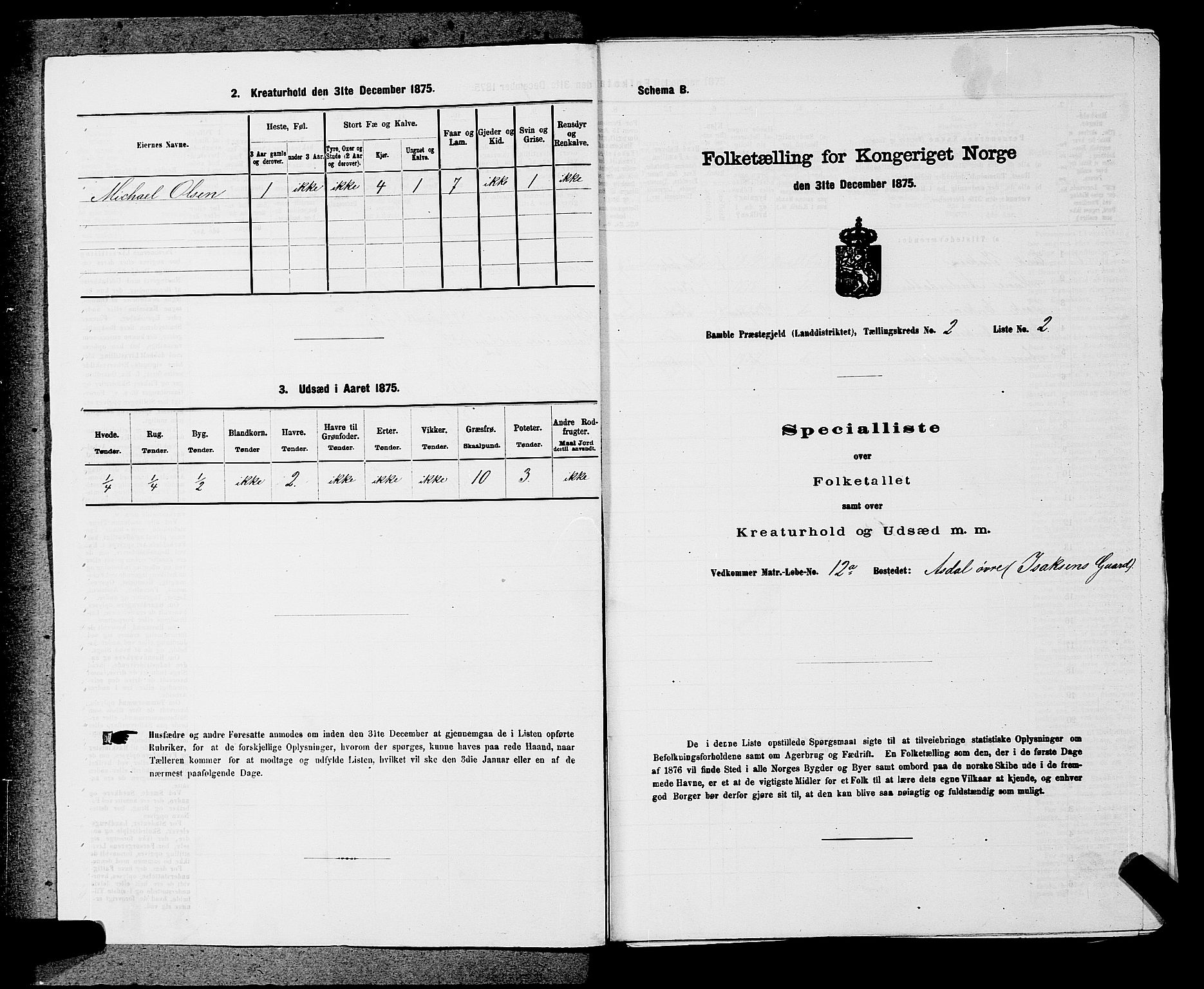 SAKO, 1875 census for 0814L Bamble/Bamble, 1875, p. 267