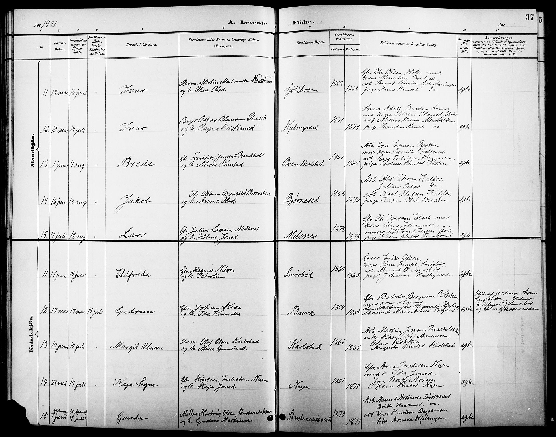 Åsnes prestekontor, AV/SAH-PREST-042/H/Ha/Hab/L0005: Parish register (copy) no. 5, 1895-1920, p. 37