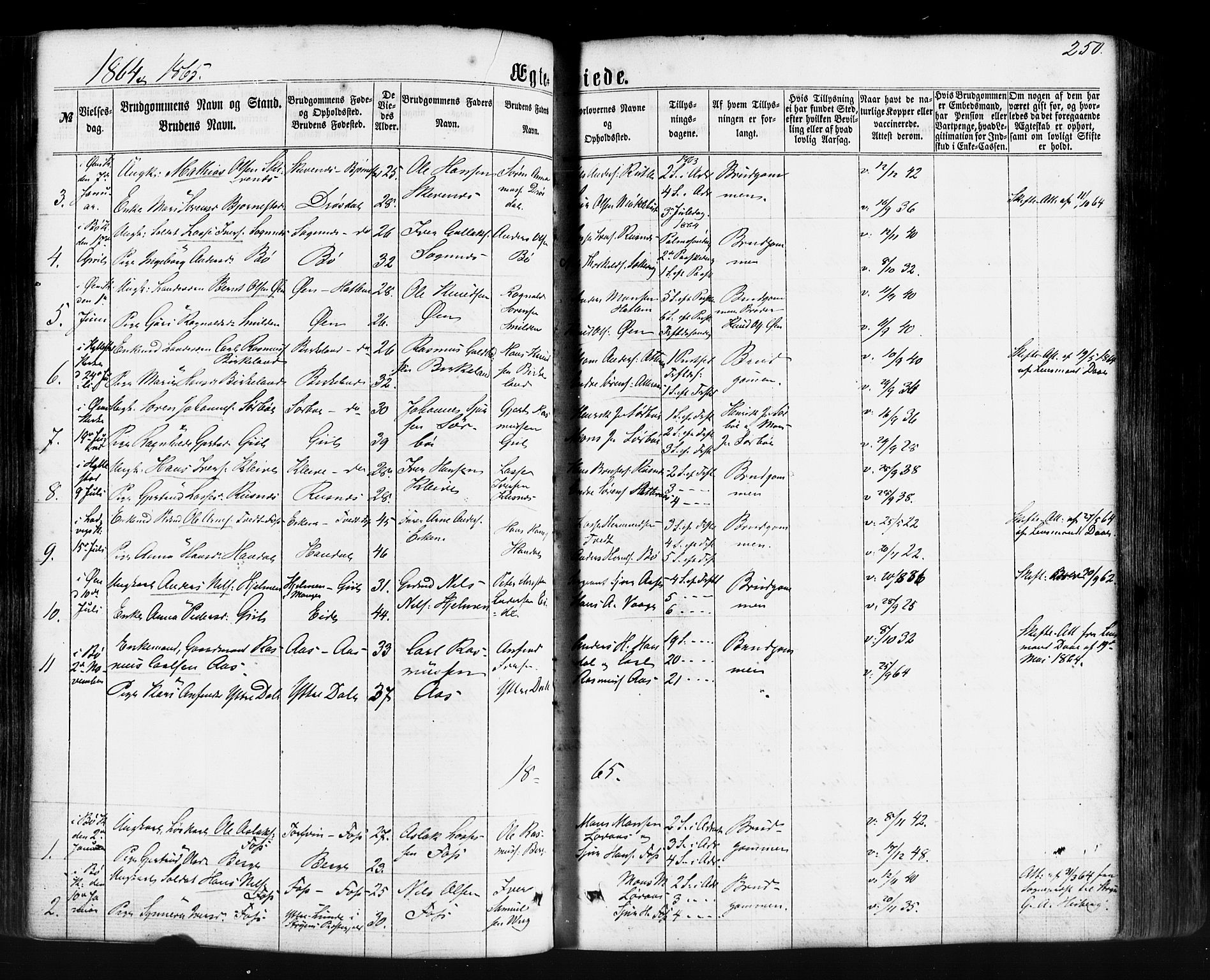 Hyllestad sokneprestembete, SAB/A-80401: Parish register (official) no. A 1, 1861-1886, p. 250