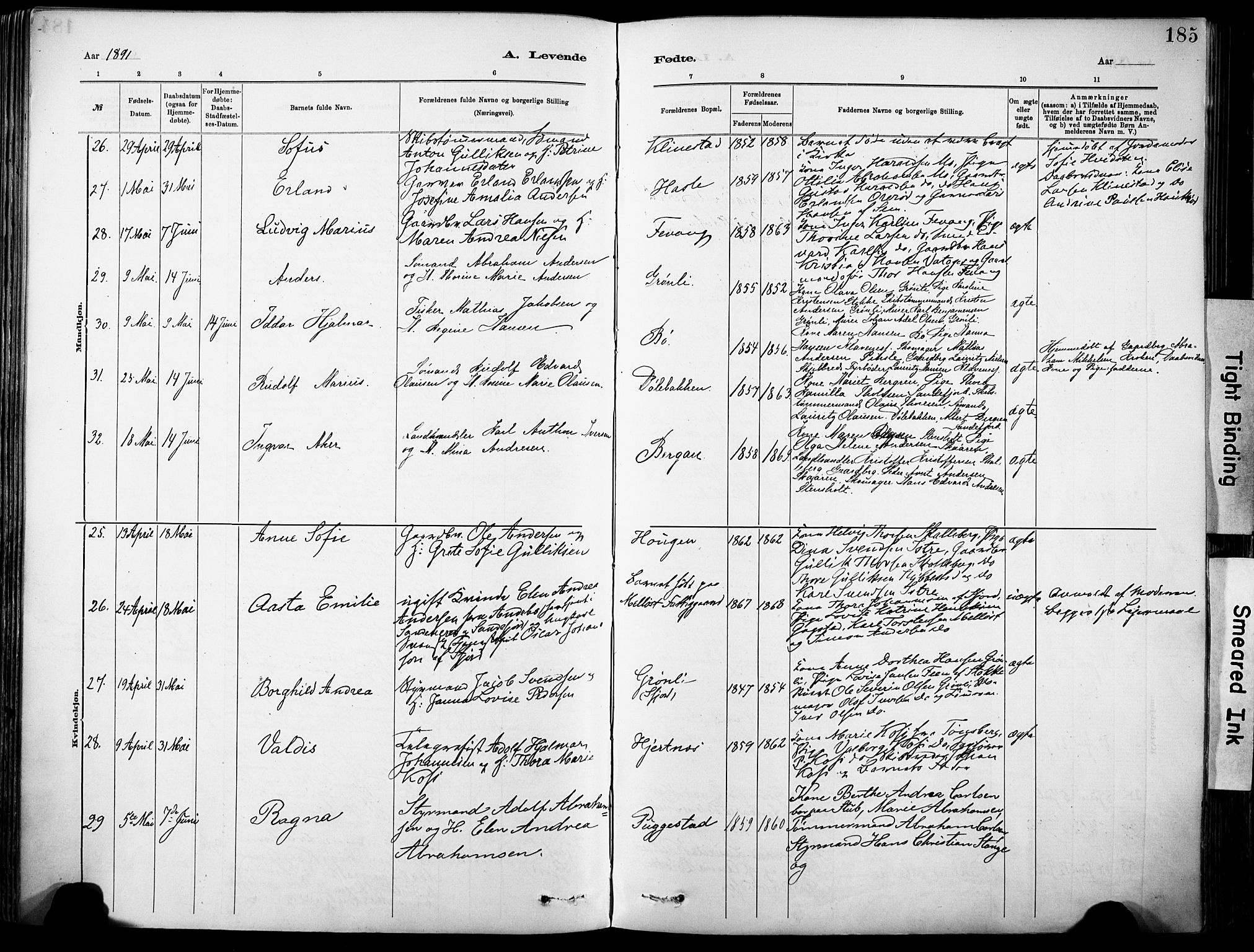 Sandar kirkebøker, AV/SAKO-A-243/F/Fa/L0012: Parish register (official) no. 12, 1883-1895, p. 185