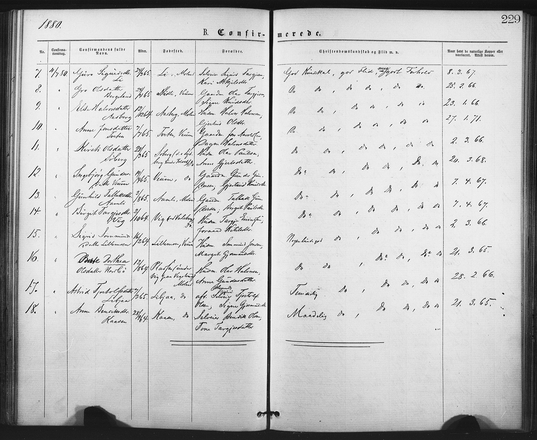 Fyresdal kirkebøker, SAKO/A-263/F/Fa/L0006: Parish register (official) no. I 6, 1872-1886, p. 229