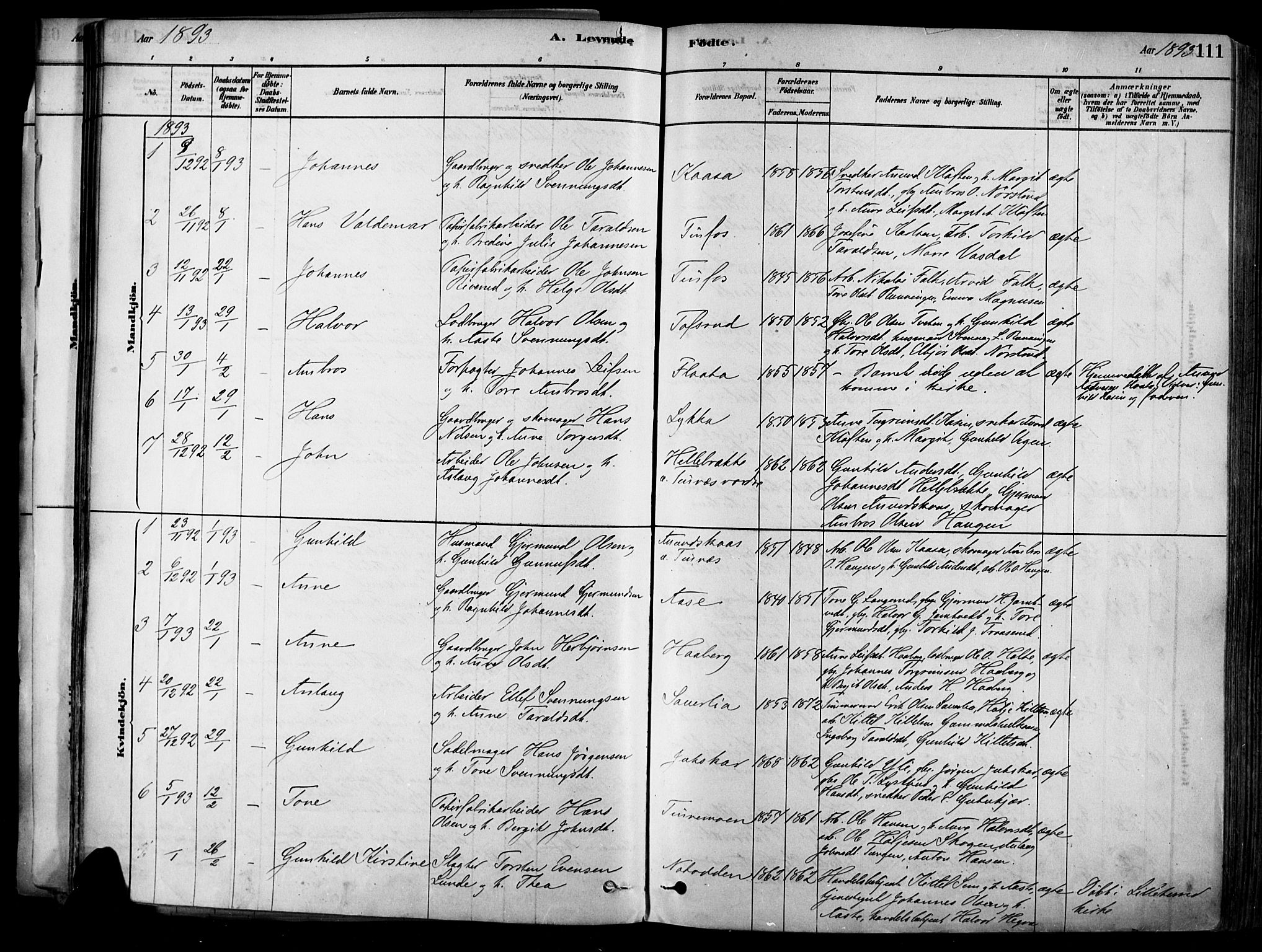 Heddal kirkebøker, SAKO/A-268/F/Fa/L0008: Parish register (official) no. I 8, 1878-1903, p. 111