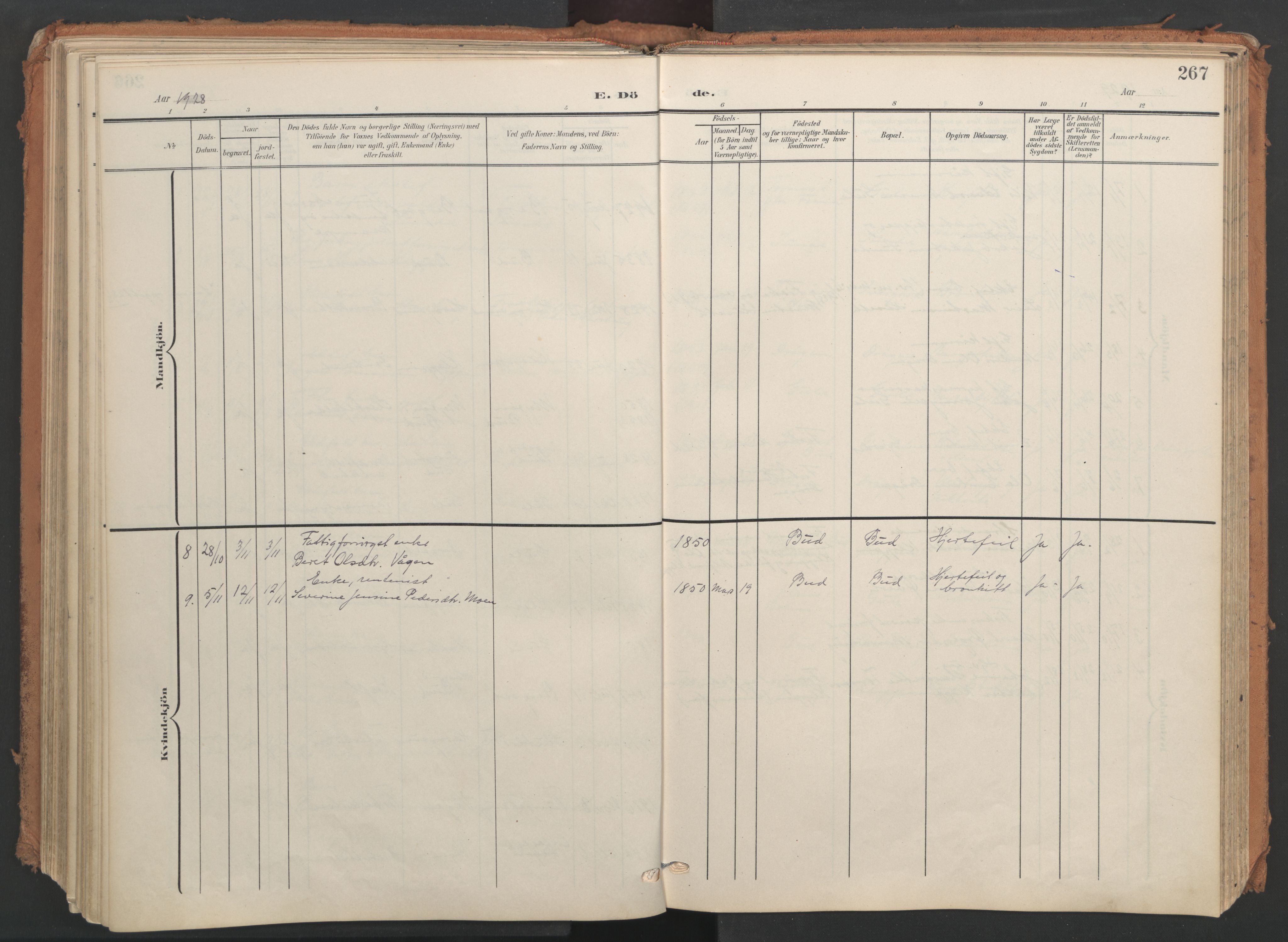 Ministerialprotokoller, klokkerbøker og fødselsregistre - Møre og Romsdal, AV/SAT-A-1454/566/L0771: Parish register (official) no. 566A10, 1904-1929, p. 267