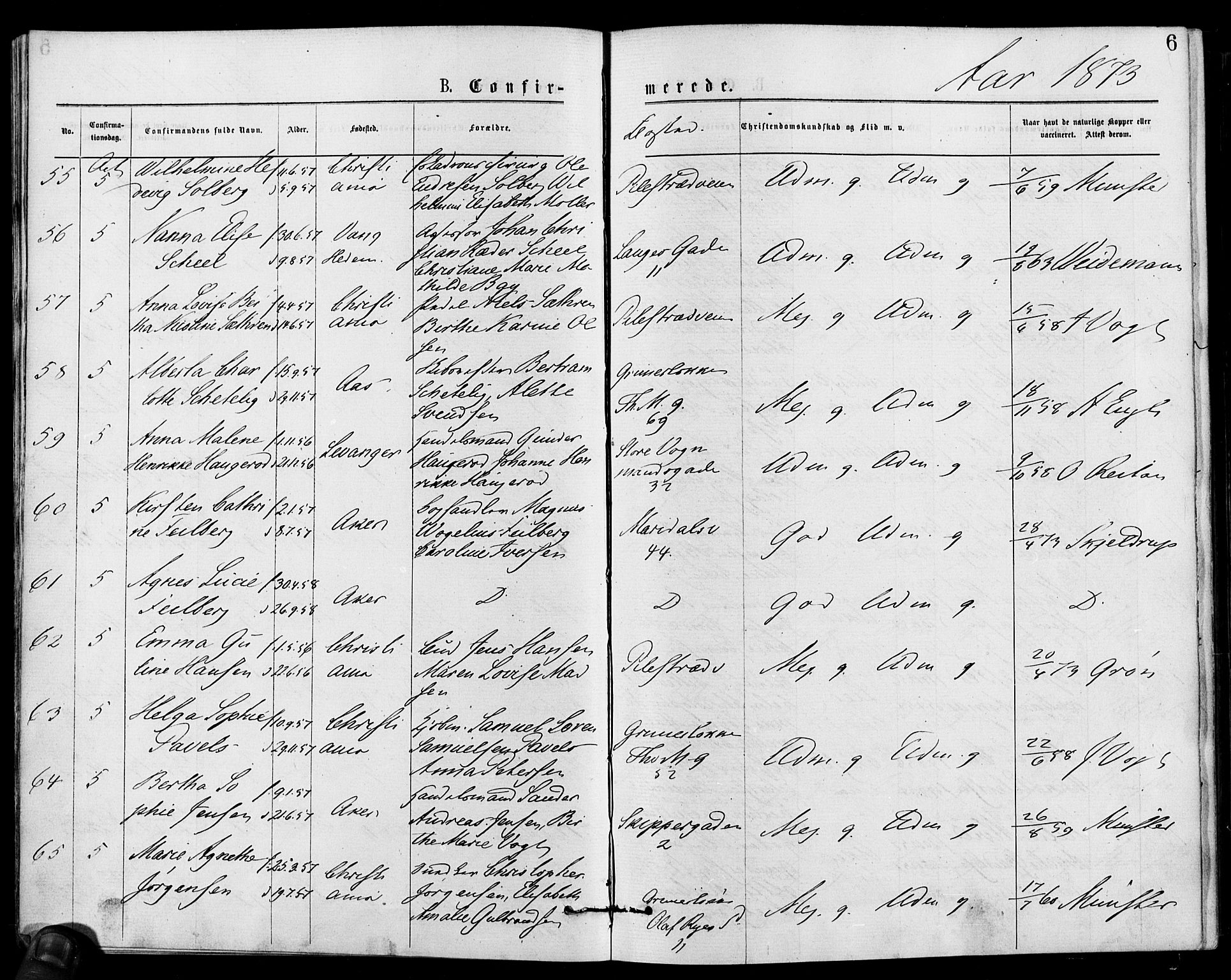 Gamle Aker prestekontor Kirkebøker, AV/SAO-A-10617a/F/L0005: Parish register (official) no. 5, 1873-1881, p. 6