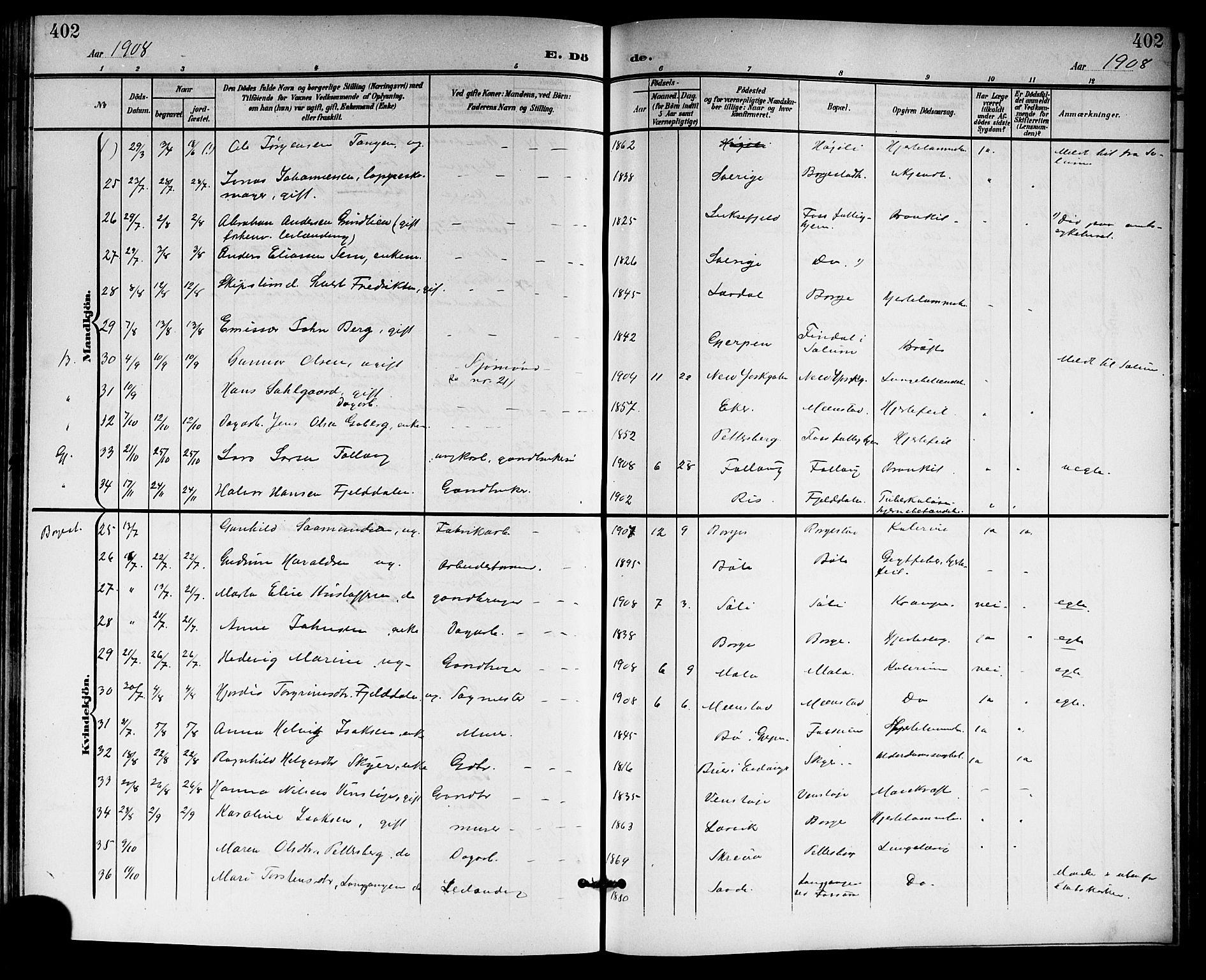 Gjerpen kirkebøker, SAKO/A-265/G/Ga/L0003: Parish register (copy) no. I 3, 1901-1919, p. 402