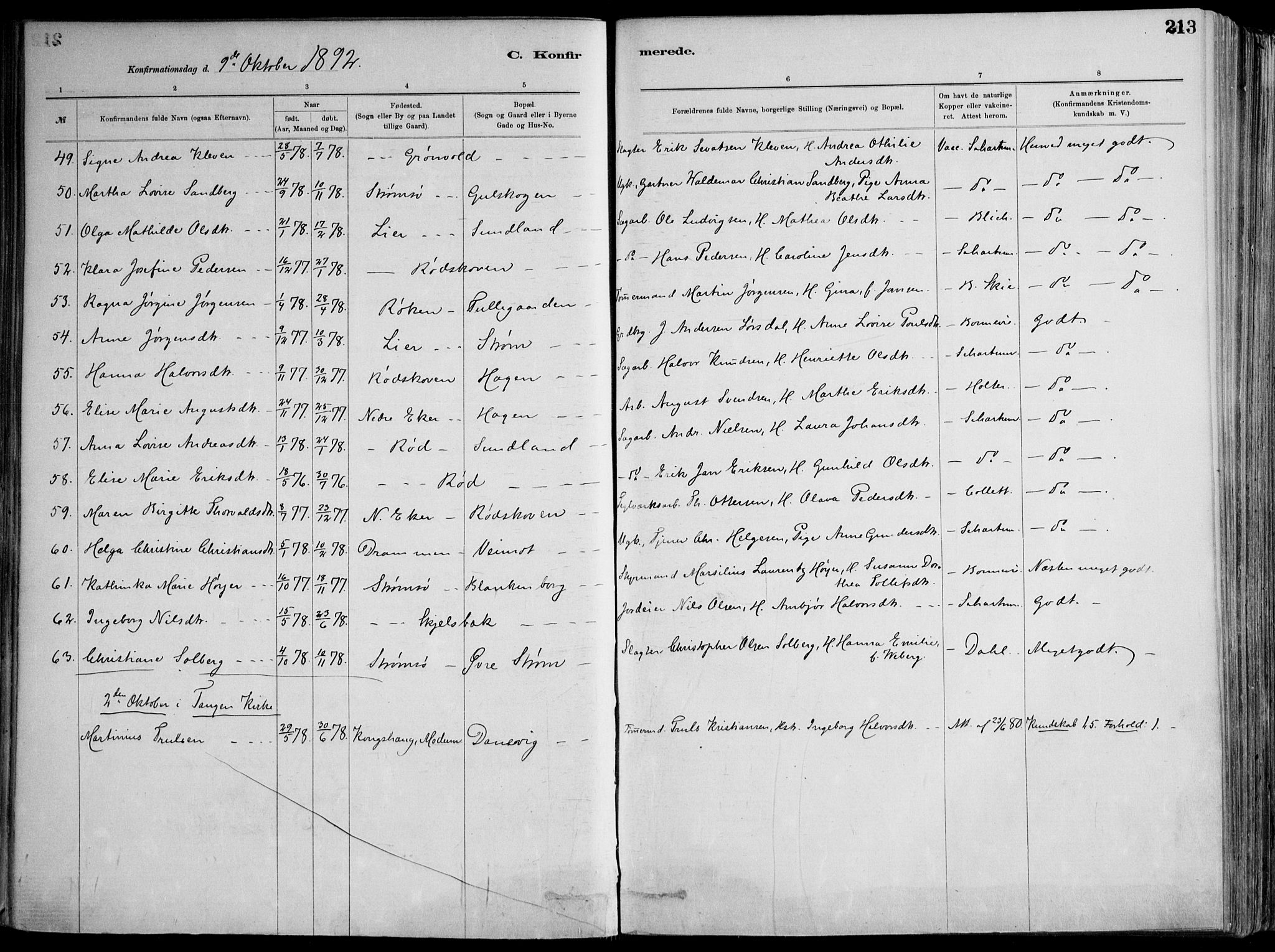 Skoger kirkebøker, AV/SAKO-A-59/F/Fa/L0006: Parish register (official) no. I 6, 1885-1910, p. 213