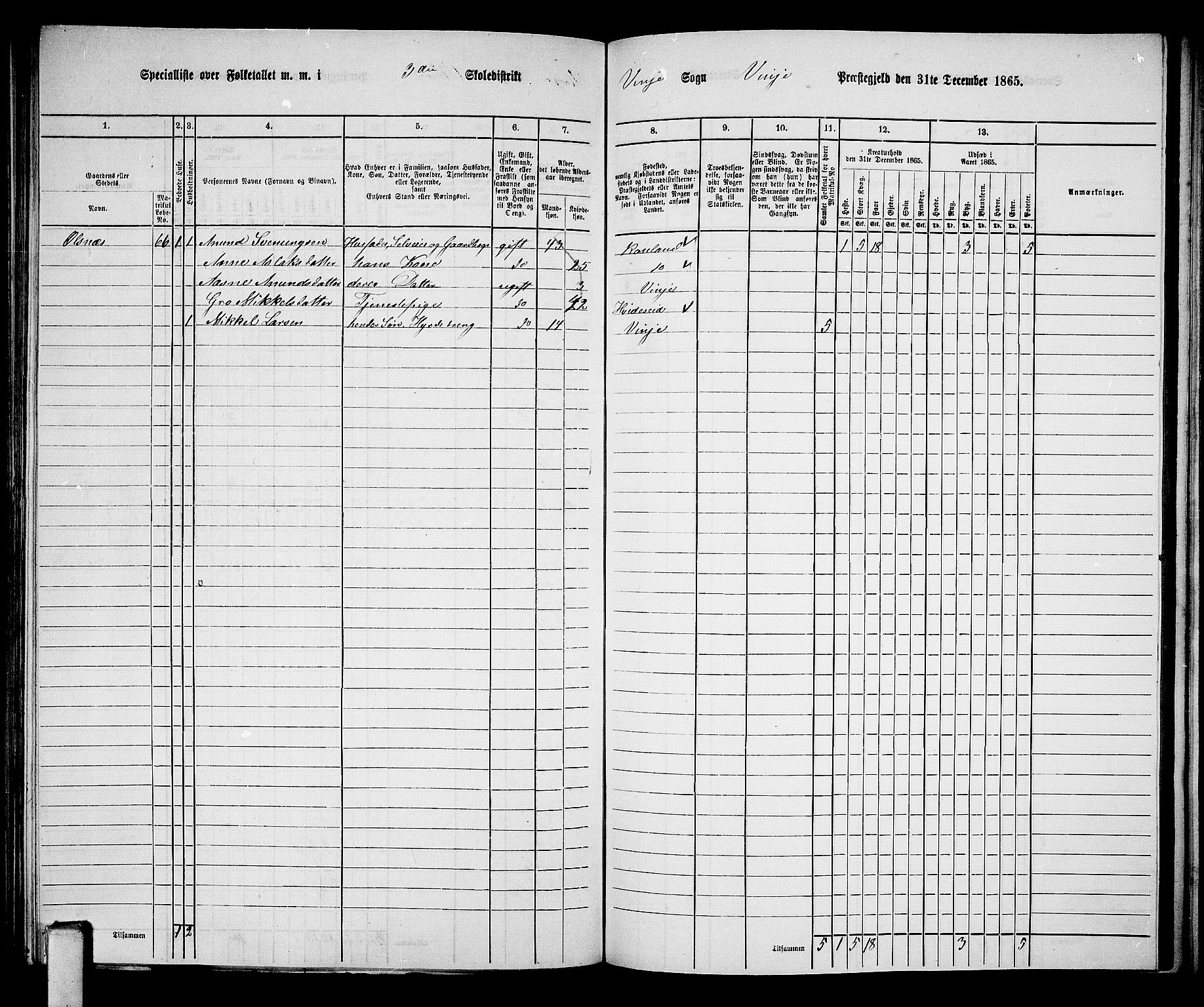 RA, 1865 census for Vinje, 1865, p. 36