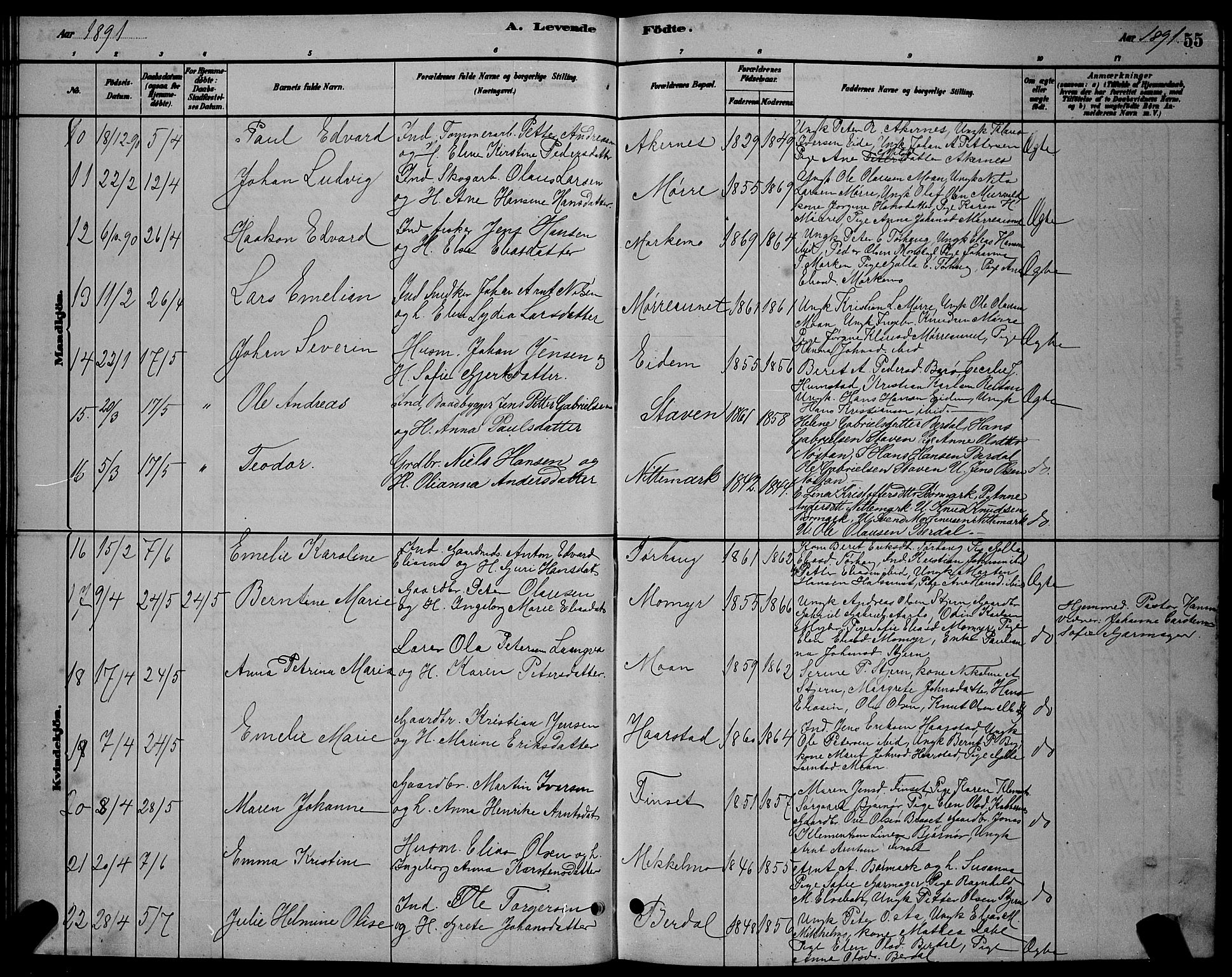 Ministerialprotokoller, klokkerbøker og fødselsregistre - Sør-Trøndelag, SAT/A-1456/655/L0687: Parish register (copy) no. 655C03, 1880-1898, p. 55