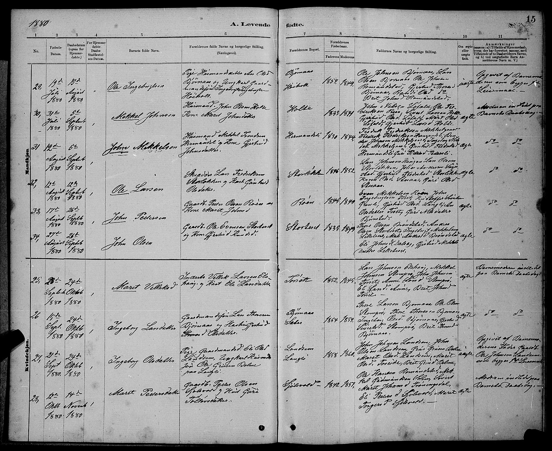 Ministerialprotokoller, klokkerbøker og fødselsregistre - Møre og Romsdal, AV/SAT-A-1454/598/L1077: Parish register (copy) no. 598C02, 1879-1891, p. 15
