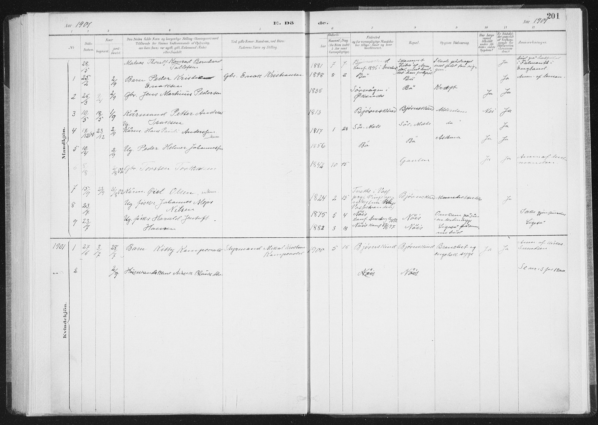 Ministerialprotokoller, klokkerbøker og fødselsregistre - Nordland, AV/SAT-A-1459/898/L1422: Parish register (official) no. 898A02, 1887-1908, p. 201