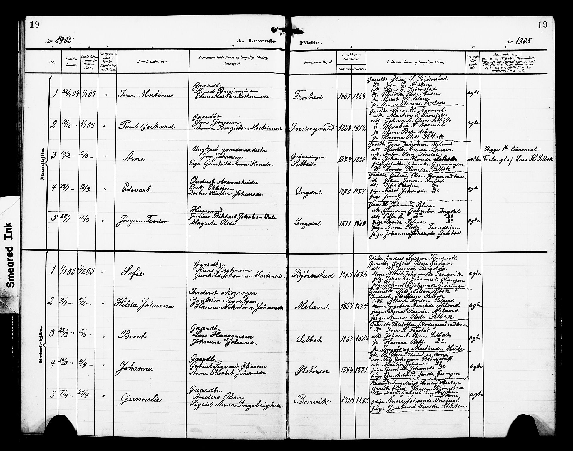 Ministerialprotokoller, klokkerbøker og fødselsregistre - Sør-Trøndelag, SAT/A-1456/663/L0763: Parish register (copy) no. 663C03, 1899-1908, p. 19