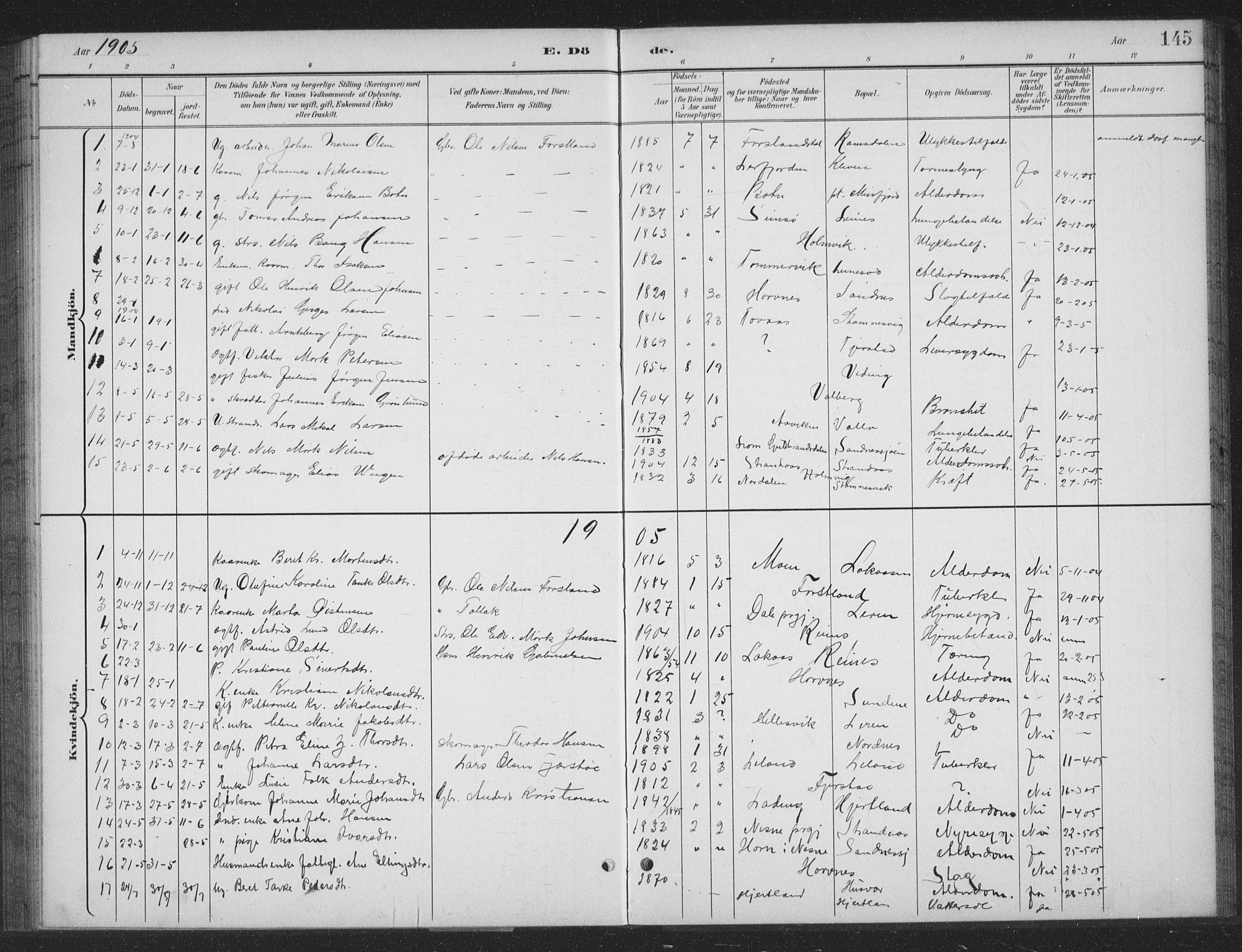 Ministerialprotokoller, klokkerbøker og fødselsregistre - Nordland, AV/SAT-A-1459/831/L0479: Parish register (copy) no. 831C06, 1897-1936, p. 145