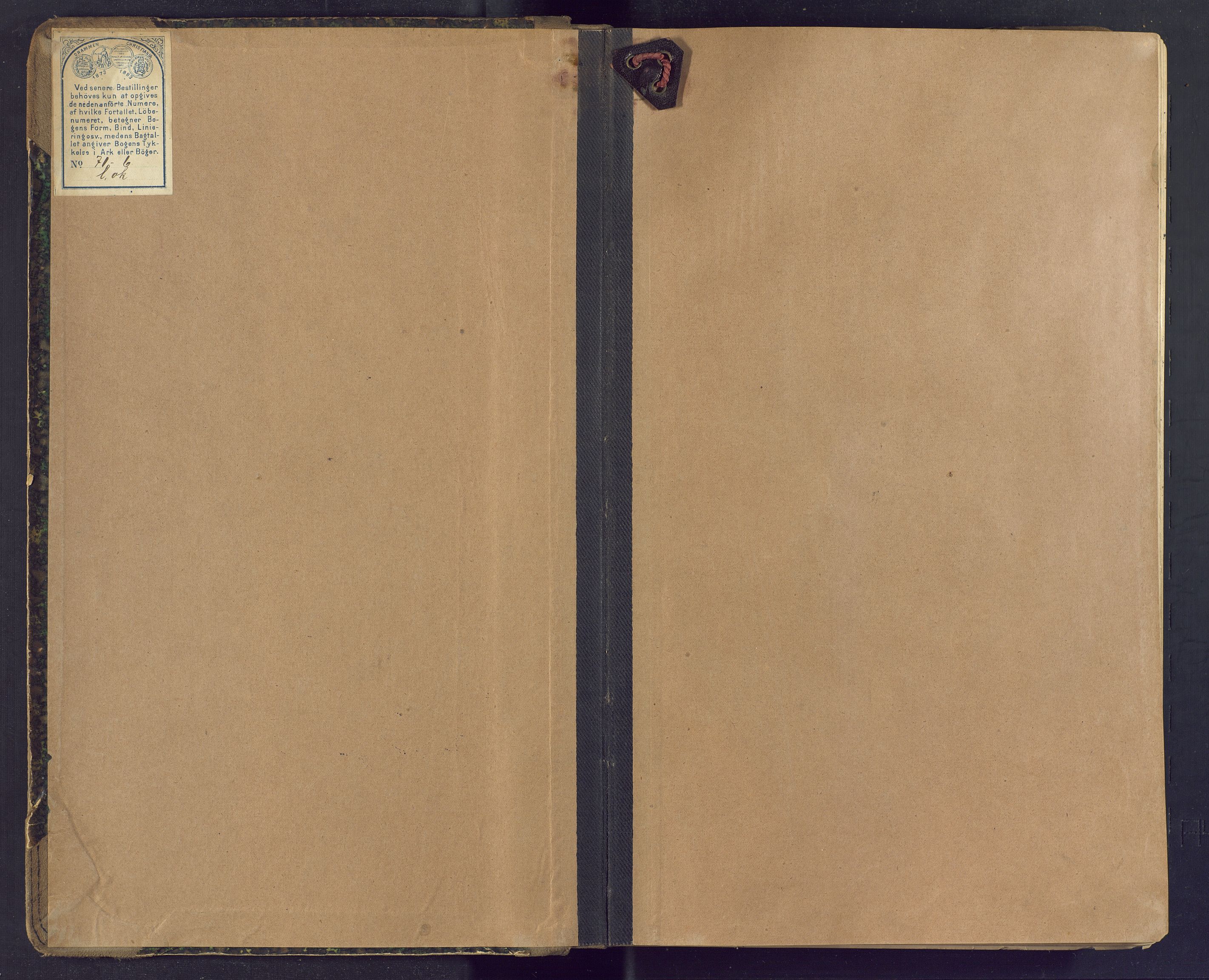 Ringerike sorenskriveri, SAKO/A-105/F/Fc/Fca/L0021: Ekstrarettsprotokoll, 1892-1896