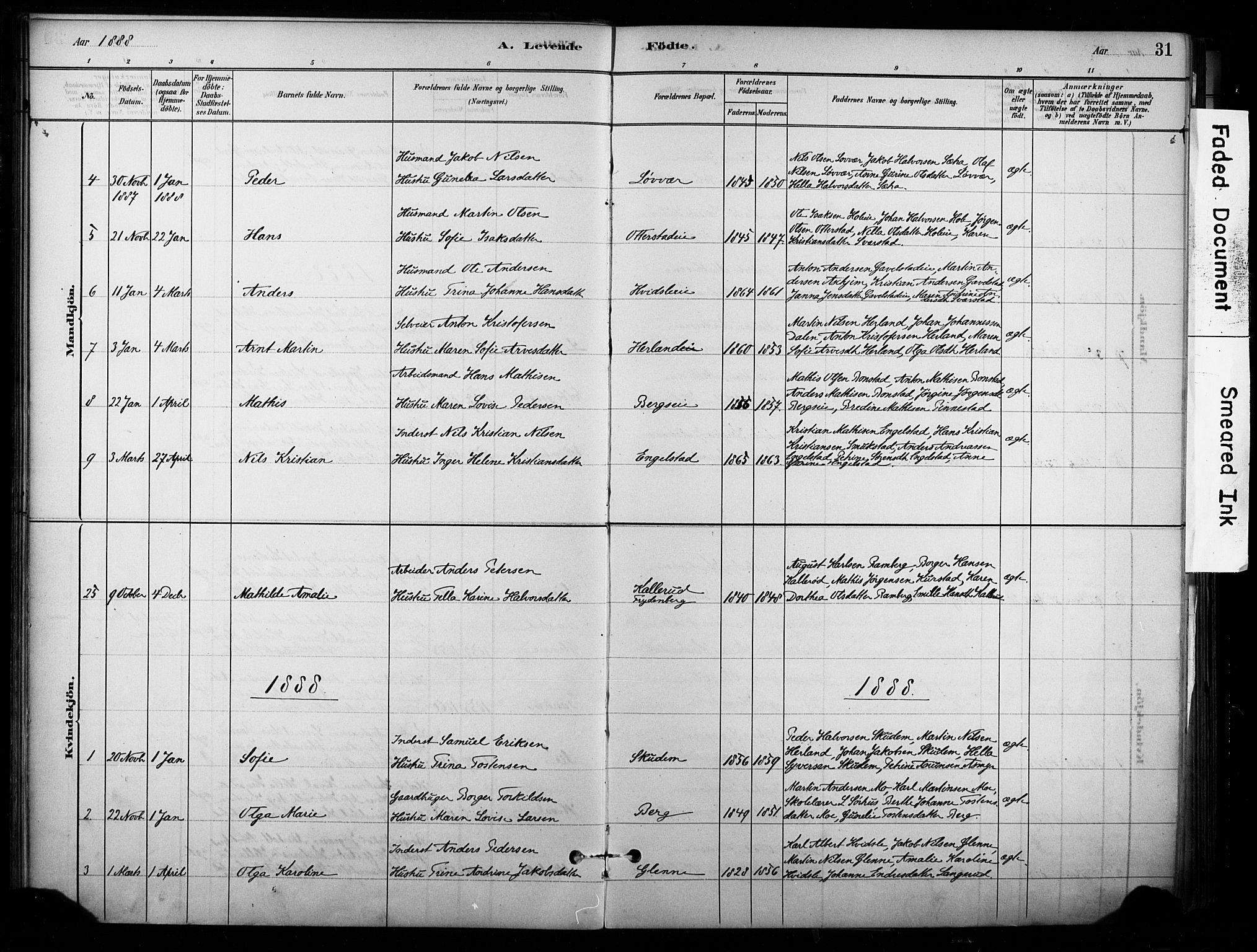 Lardal kirkebøker, AV/SAKO-A-350/F/Fb/L0001: Parish register (official) no. II 1, 1881-1911, p. 31