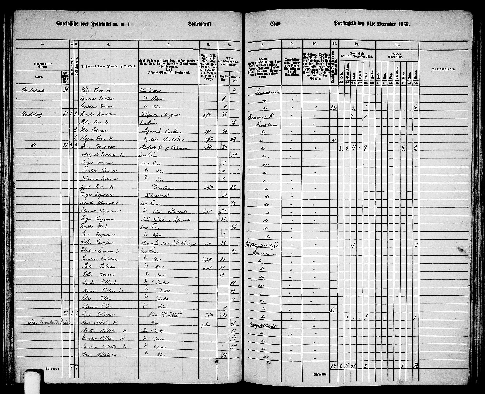 RA, 1865 census for Strandebarm, 1865, p. 129