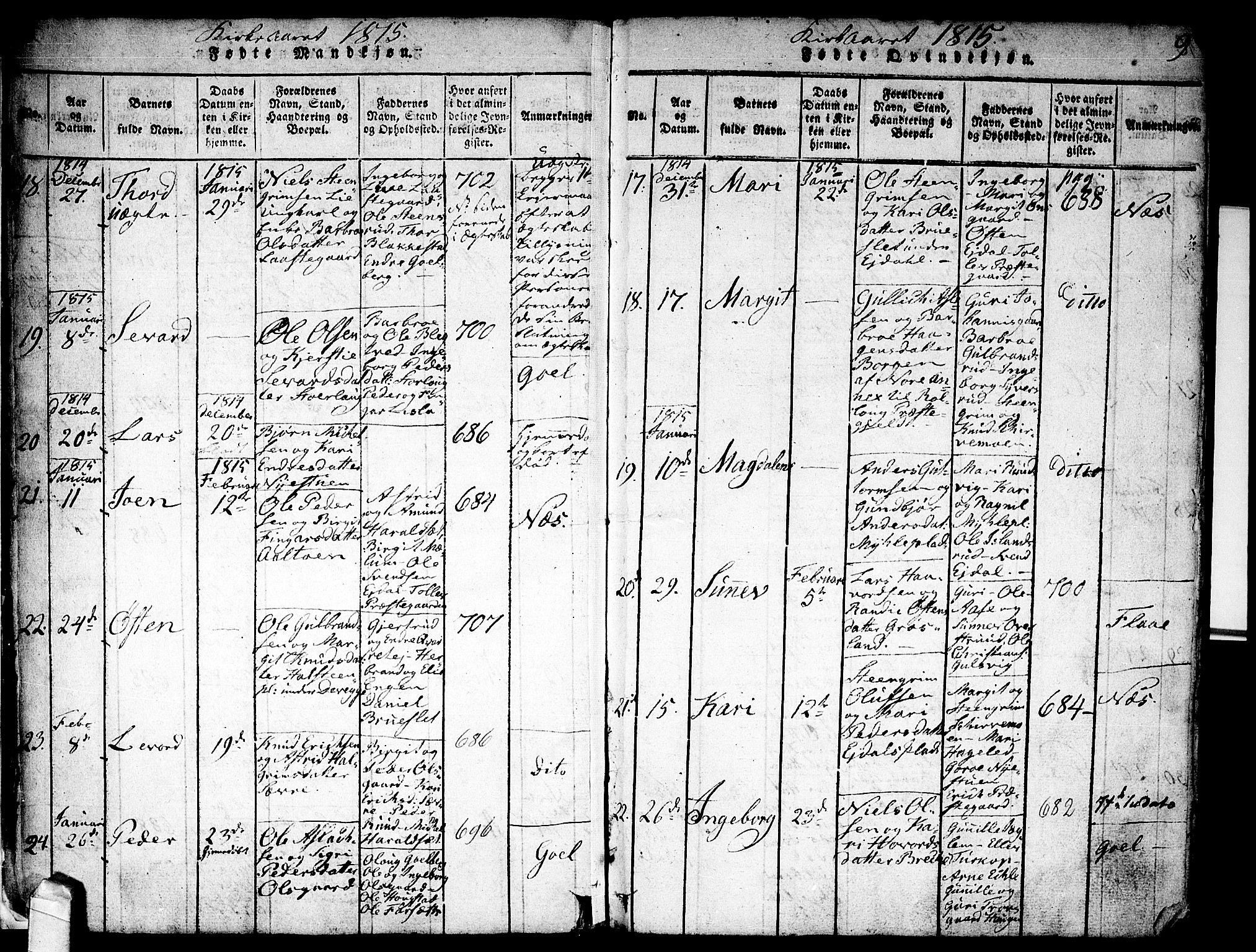 Nes kirkebøker, AV/SAKO-A-236/F/Fa/L0007: Parish register (official) no. 7, 1815-1823, p. 8-9