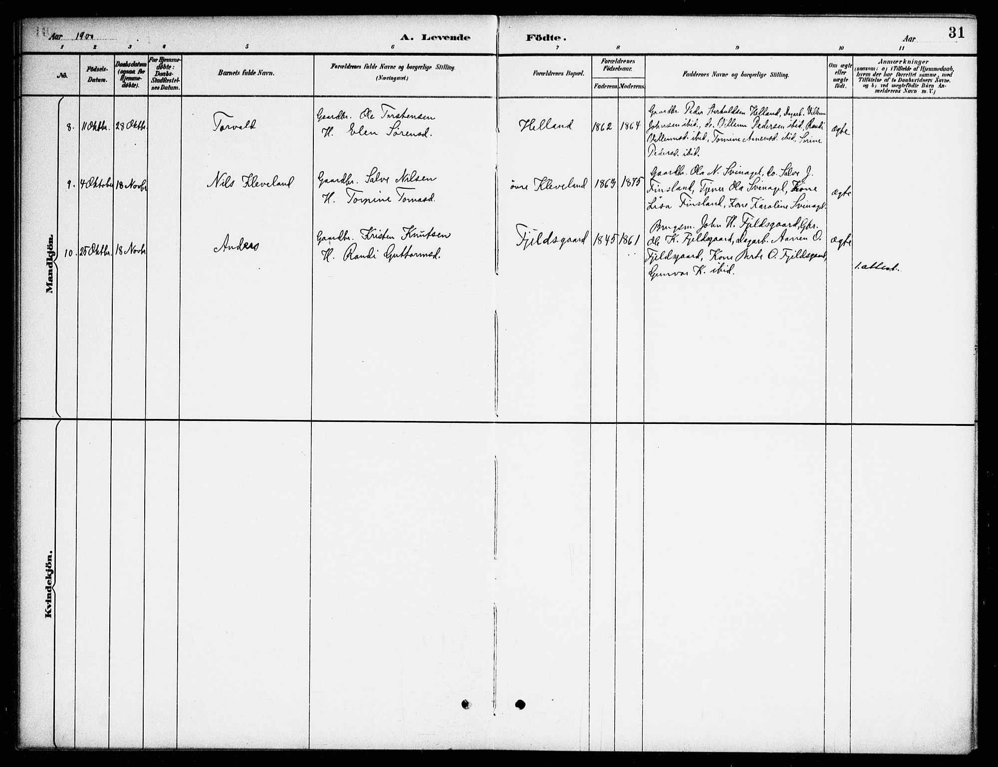 Bjelland sokneprestkontor, AV/SAK-1111-0005/F/Fa/Fab/L0004: Parish register (official) no. A 4, 1887-1920, p. 31