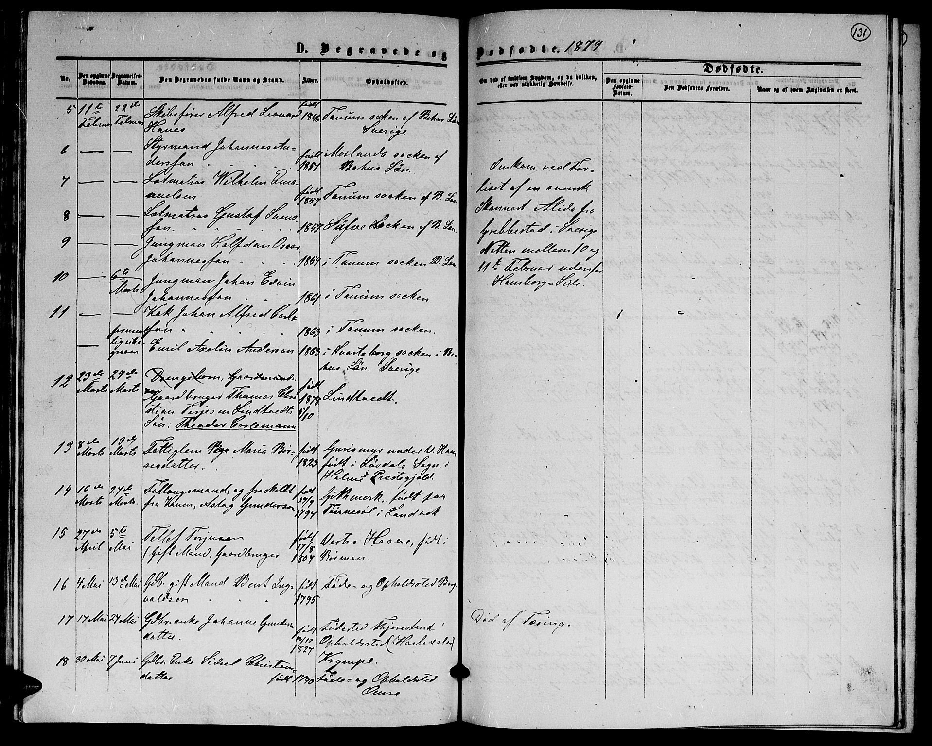 Hommedal sokneprestkontor, AV/SAK-1111-0023/F/Fb/Fba/L0003: Parish register (copy) no. B 3, 1863-1884, p. 131