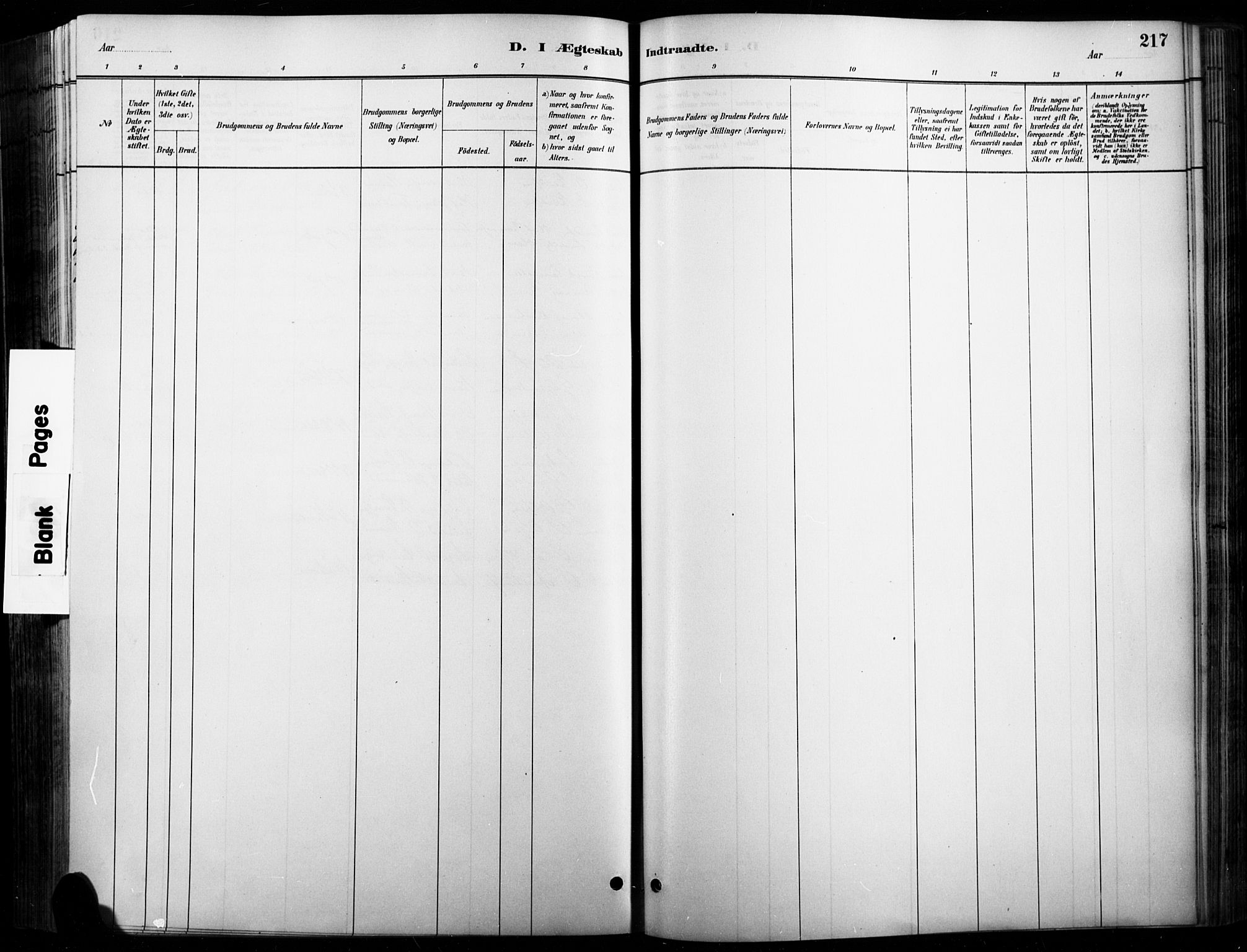 Vinger prestekontor, AV/SAH-PREST-024/H/Ha/Haa/L0015: Parish register (official) no. 15, 1881-1900, p. 217