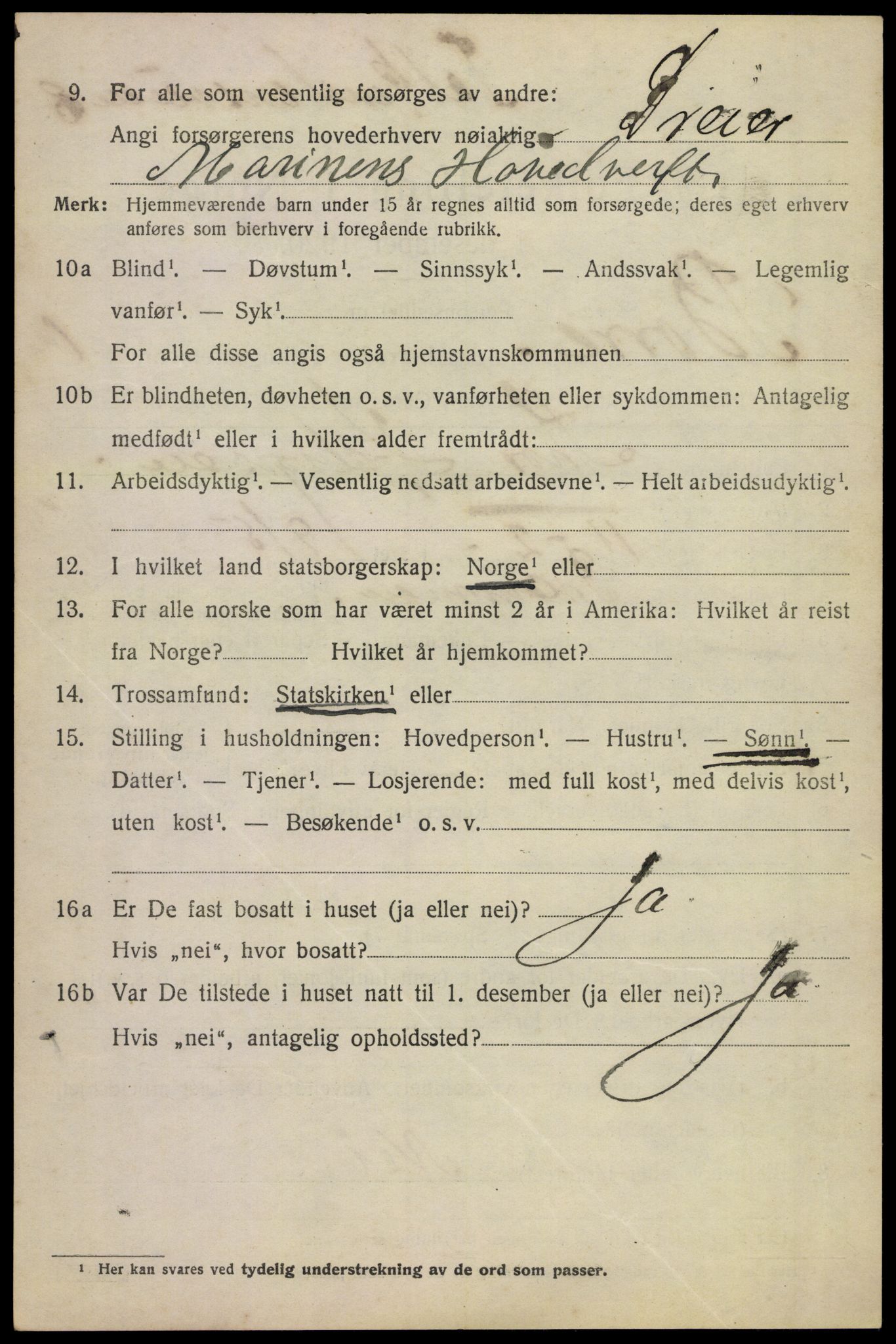 SAKO, 1920 census for Borre, 1920, p. 1385