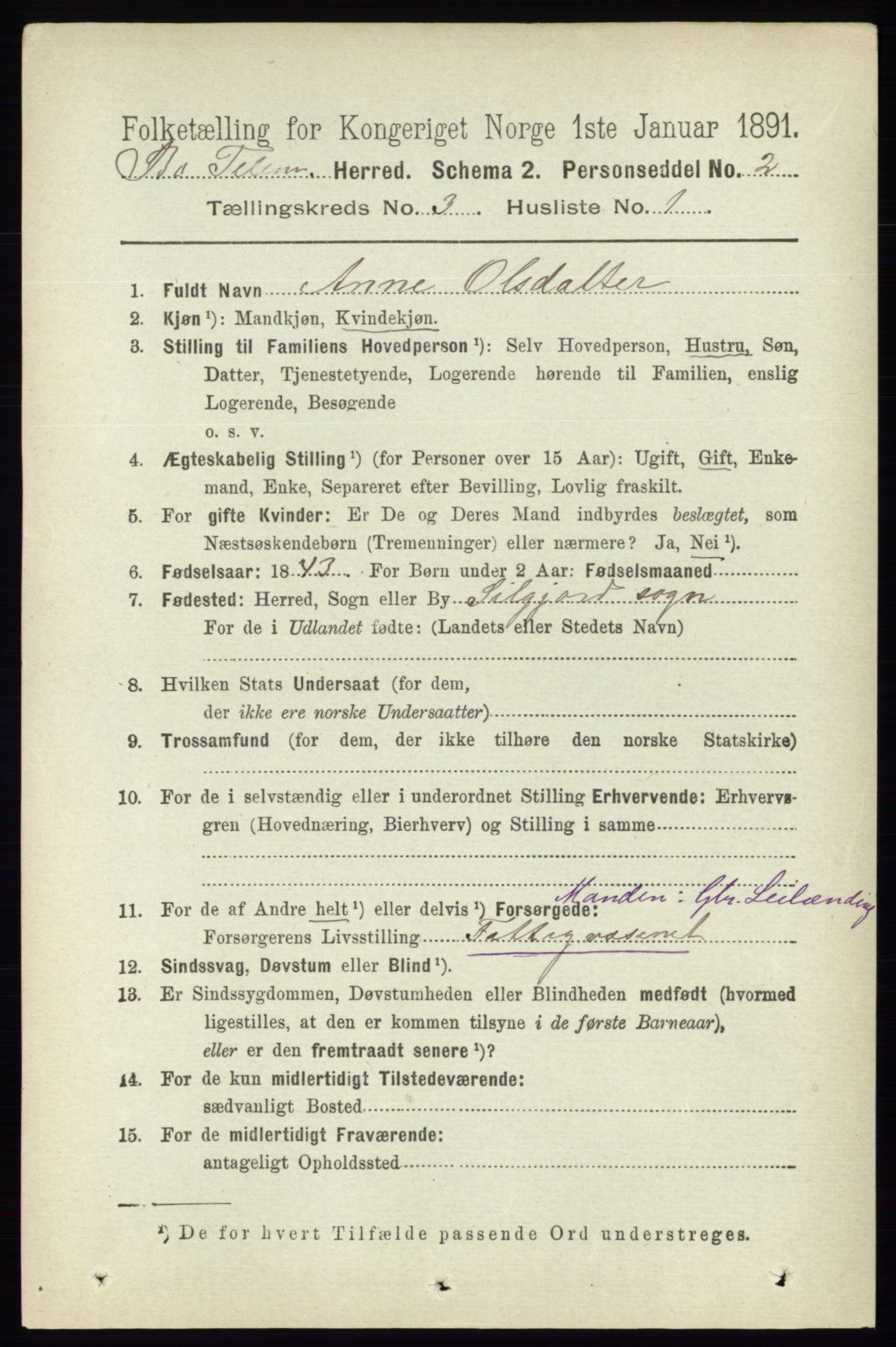 RA, 1891 census for 0821 Bø, 1891, p. 1018