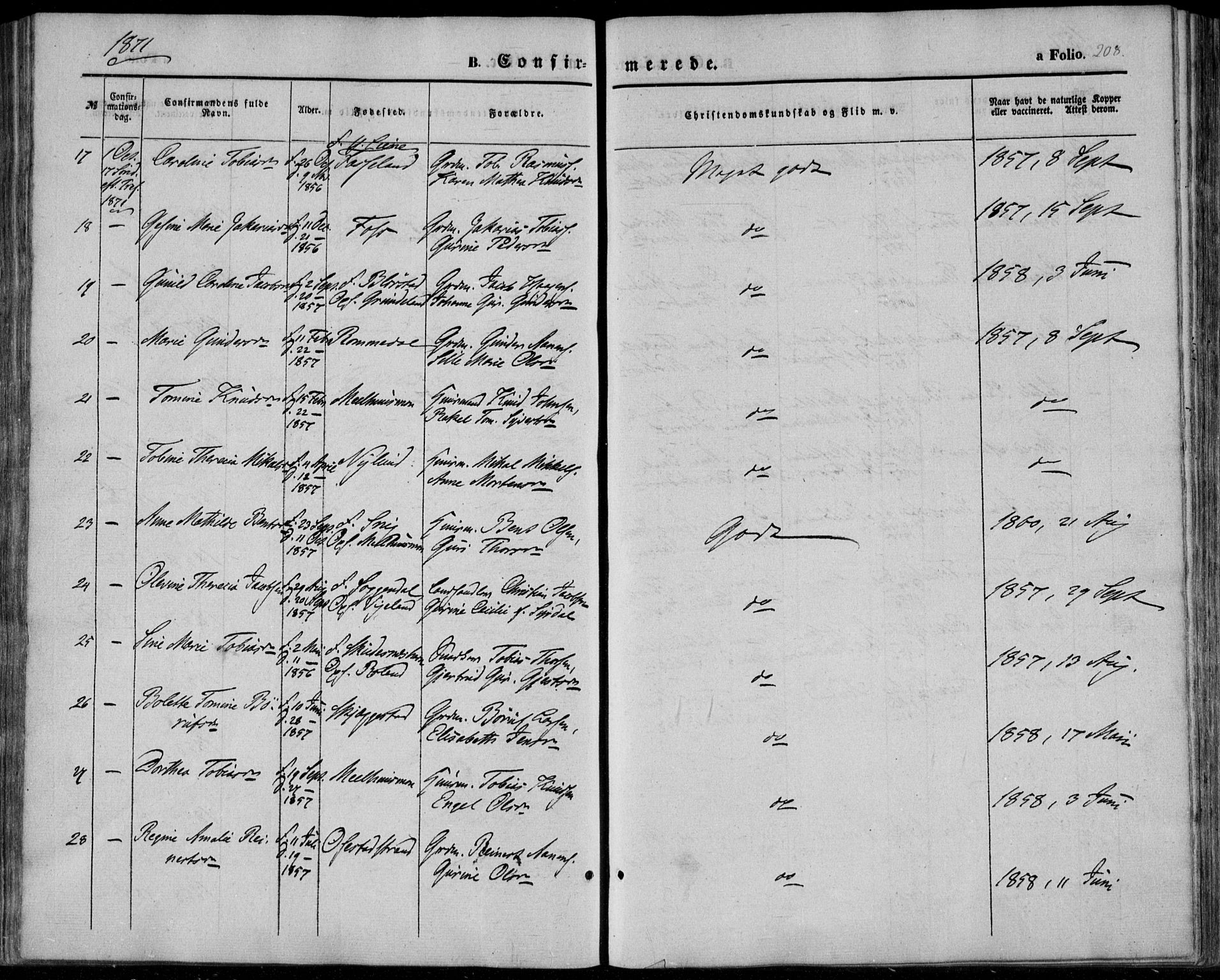 Sør-Audnedal sokneprestkontor, AV/SAK-1111-0039/F/Fa/Fab/L0007: Parish register (official) no. A 7, 1855-1876, p. 208