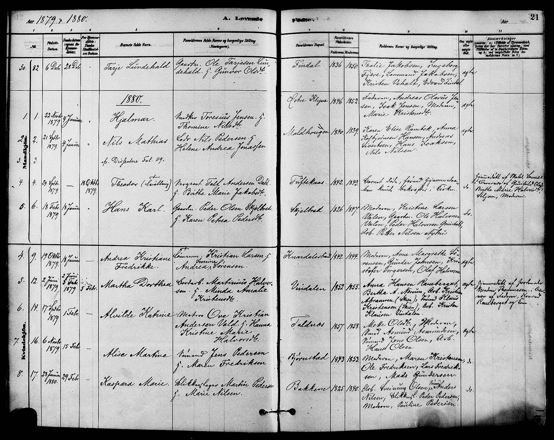 Solum kirkebøker, SAKO/A-306/F/Fa/L0009: Parish register (official) no. I 9, 1877-1887, p. 21