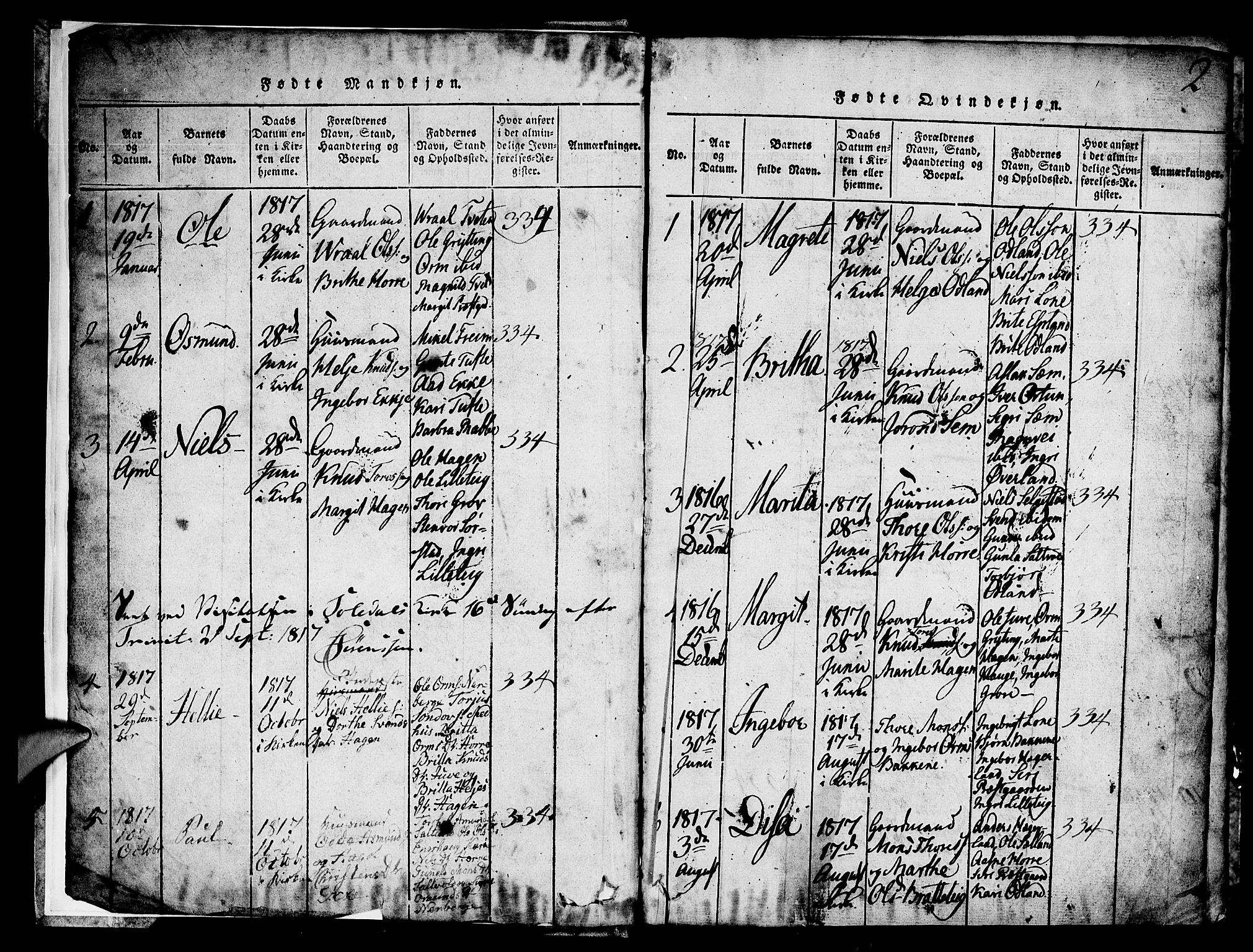 Røldal sokneprestembete, SAB/A-100247: Parish register (copy) no. A 1, 1817-1860, p. 2