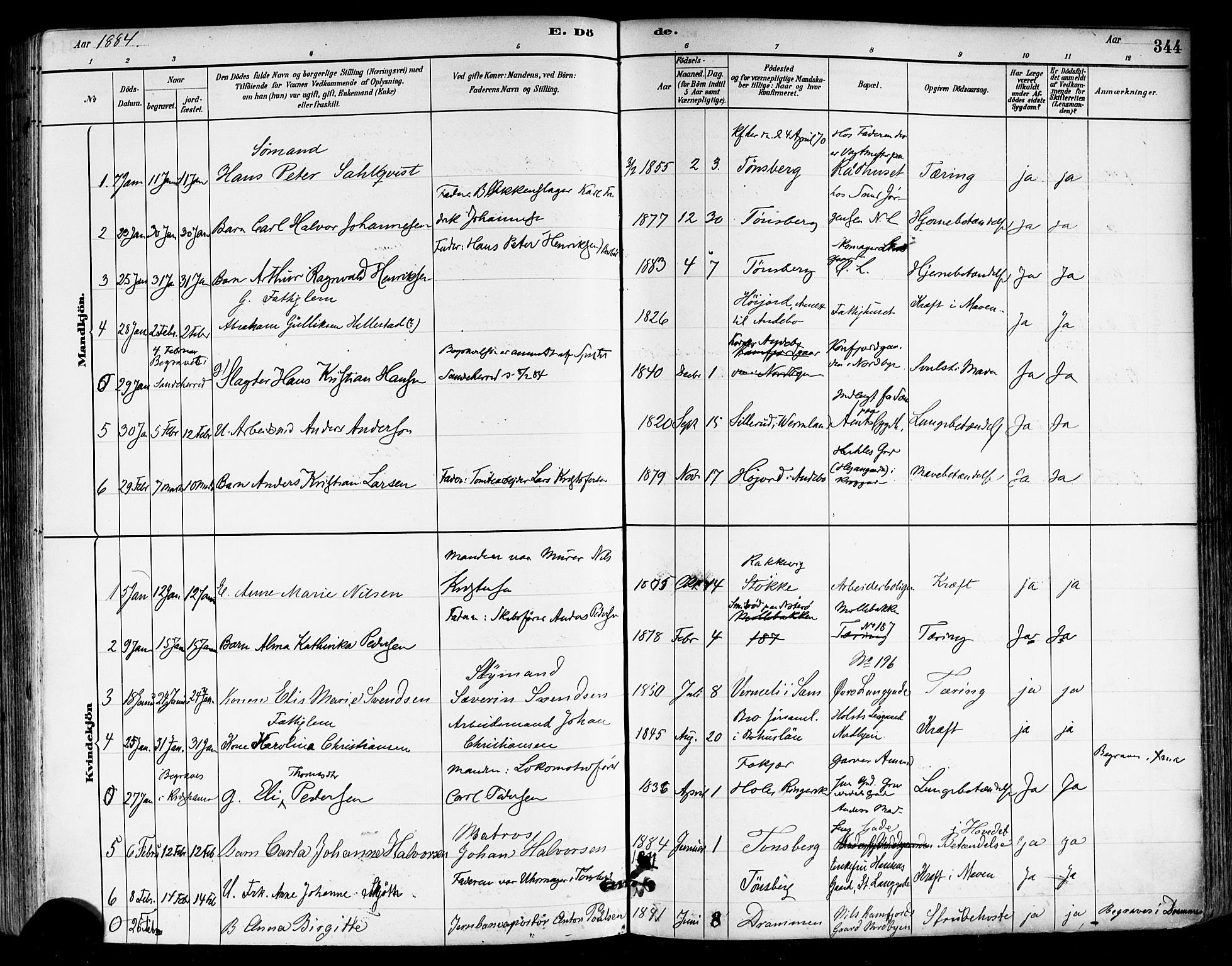 Tønsberg kirkebøker, SAKO/A-330/F/Fa/L0011: Parish register (official) no. I 11, 1881-1890, p. 344