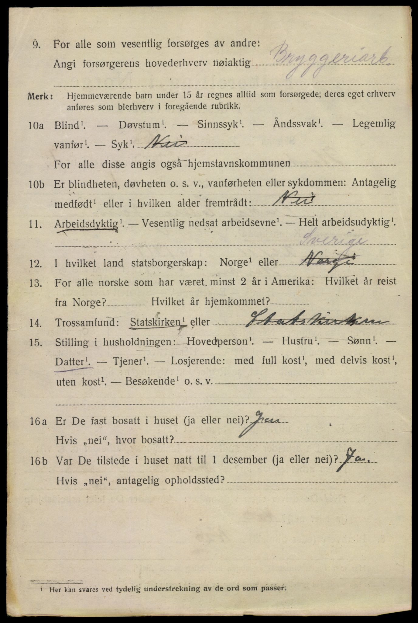 SAKO, 1920 census for Horten, 1920, p. 29250