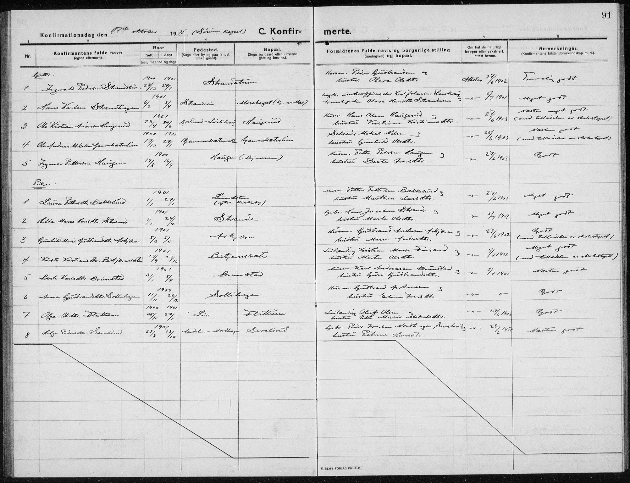 Brandbu prestekontor, AV/SAH-PREST-114/H/Ha/Hab/L0001: Parish register (copy) no. 1, 1914-1937, p. 91