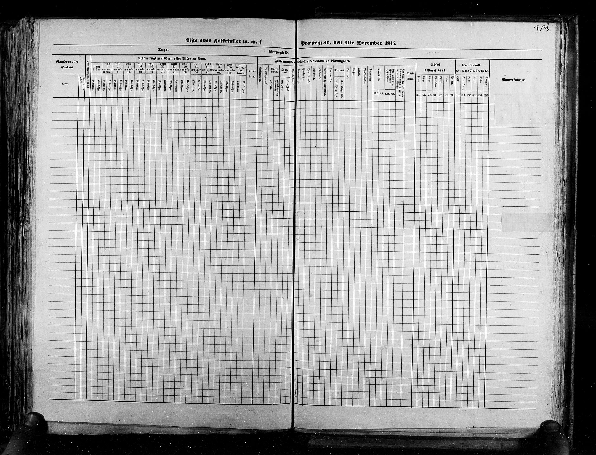 RA, Census 1845, vol. 5: Bratsberg amt og Nedenes og Råbyggelaget amt, 1845, p. 383