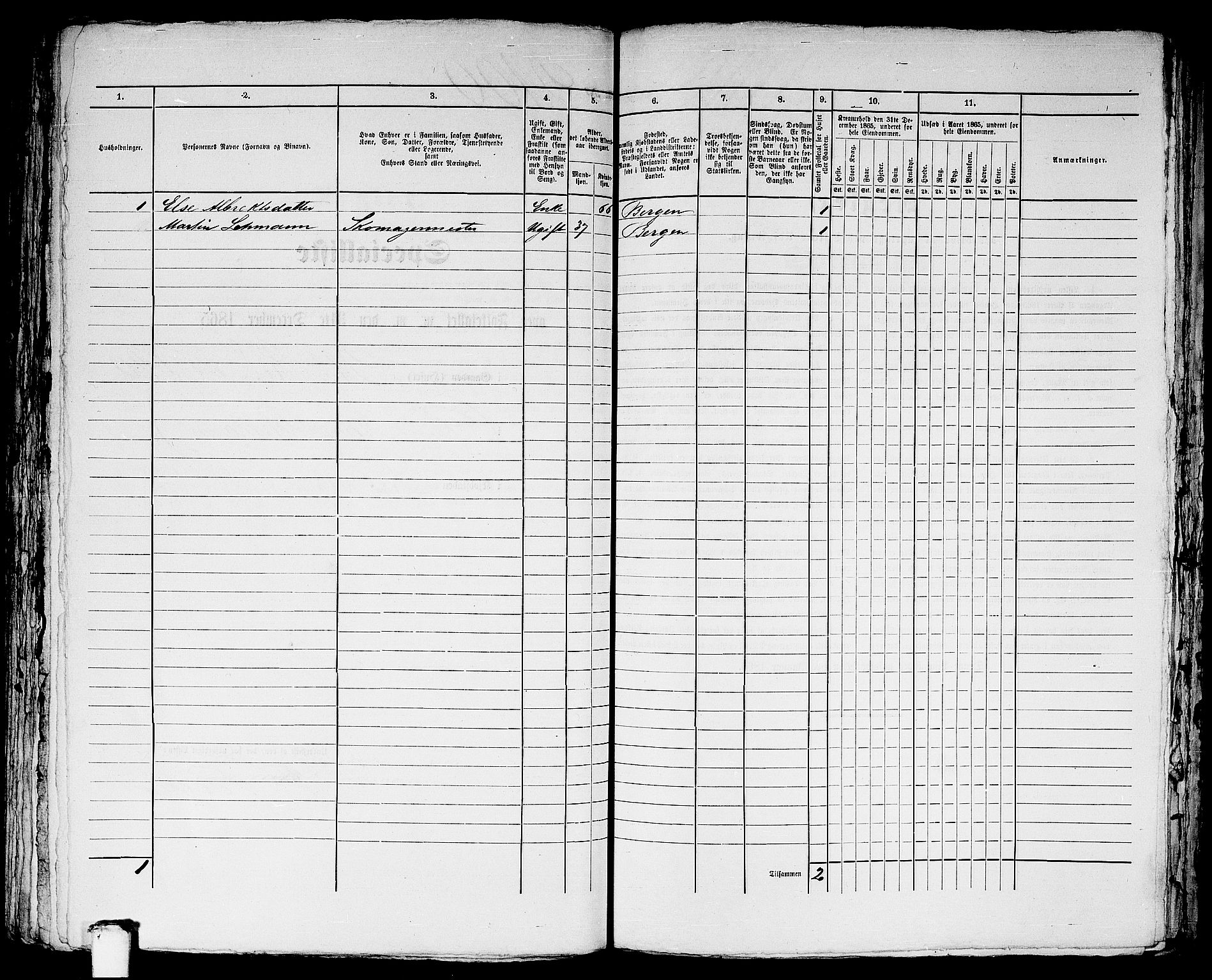 RA, 1865 census for Bergen, 1865, p. 4293