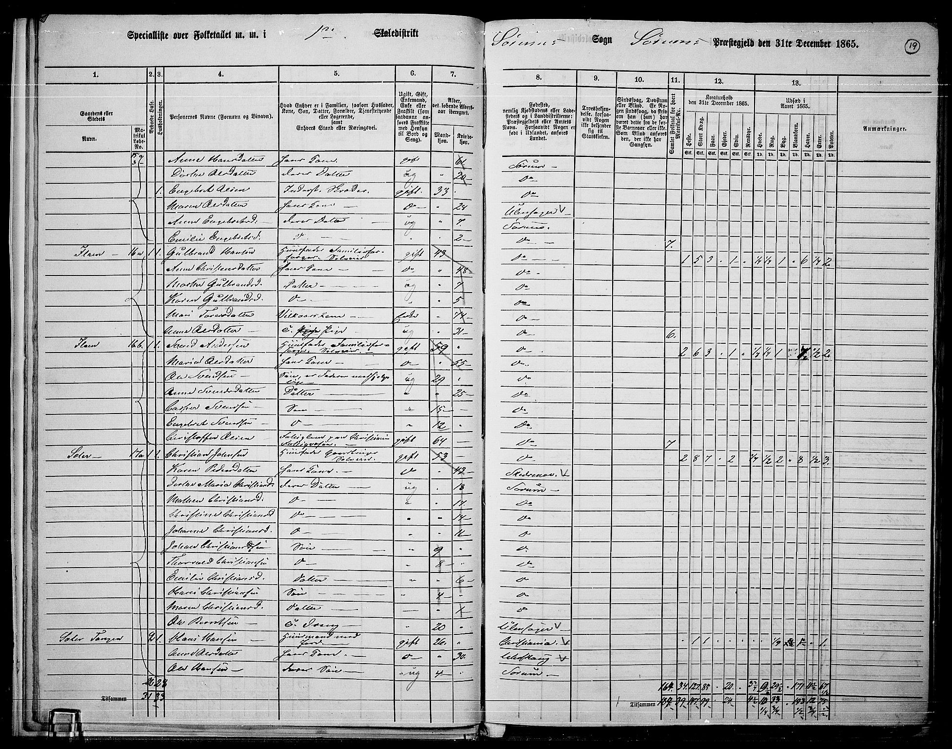 RA, 1865 census for Sørum, 1865, p. 17