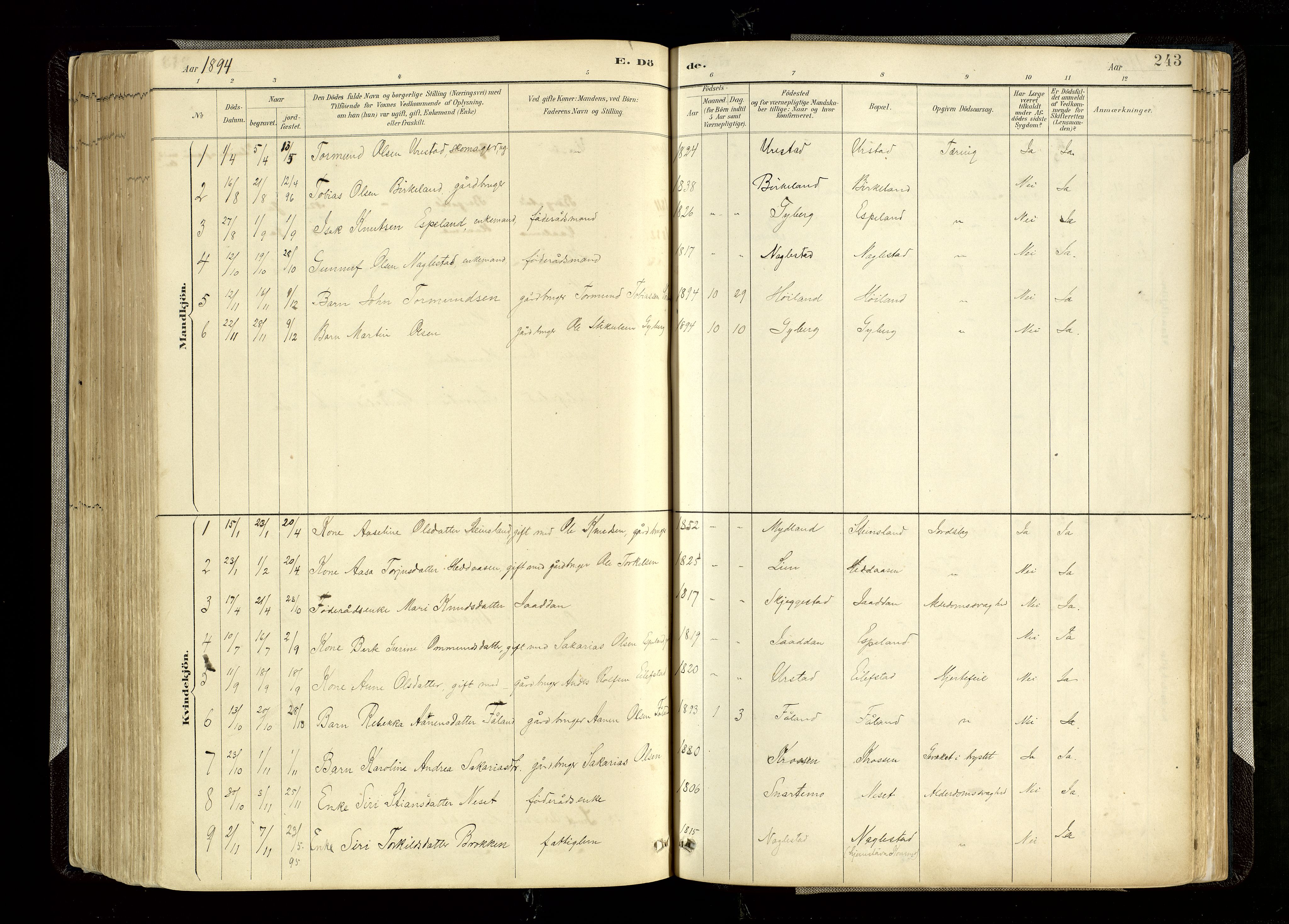 Hægebostad sokneprestkontor, SAK/1111-0024/F/Fa/Faa/L0006: Parish register (official) no. A 6, 1887-1929, p. 243