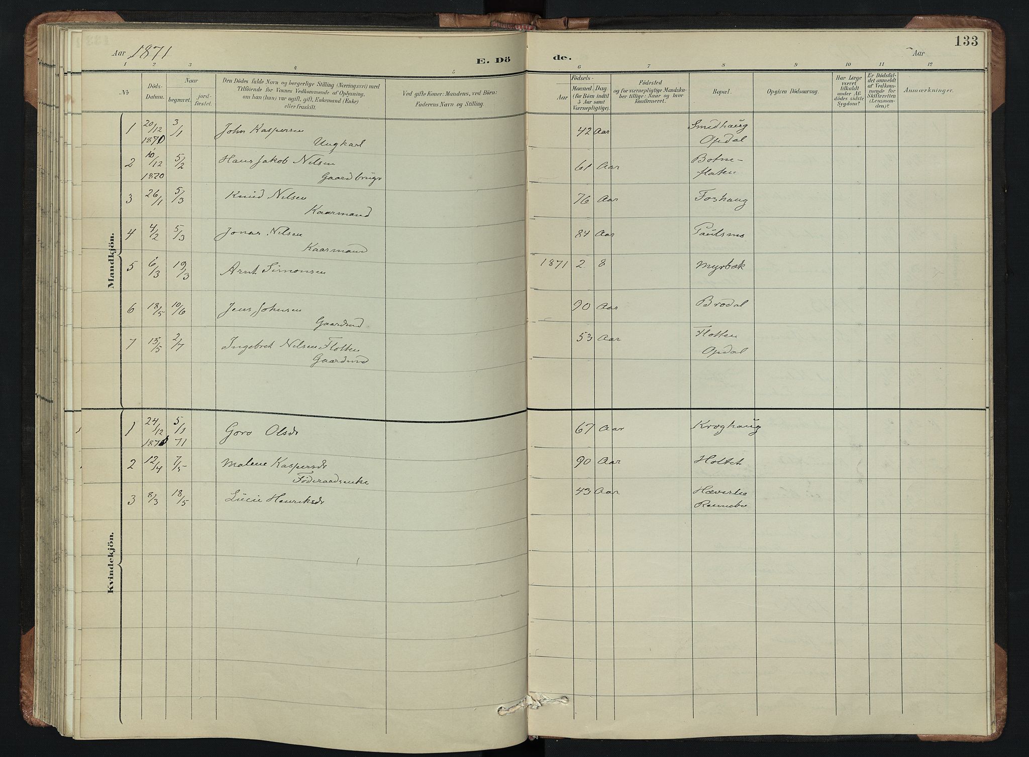 Kvikne prestekontor, AV/SAH-PREST-064/H/Ha/Hab/L0002: Parish register (copy) no. 2, 1859-1901, p. 133