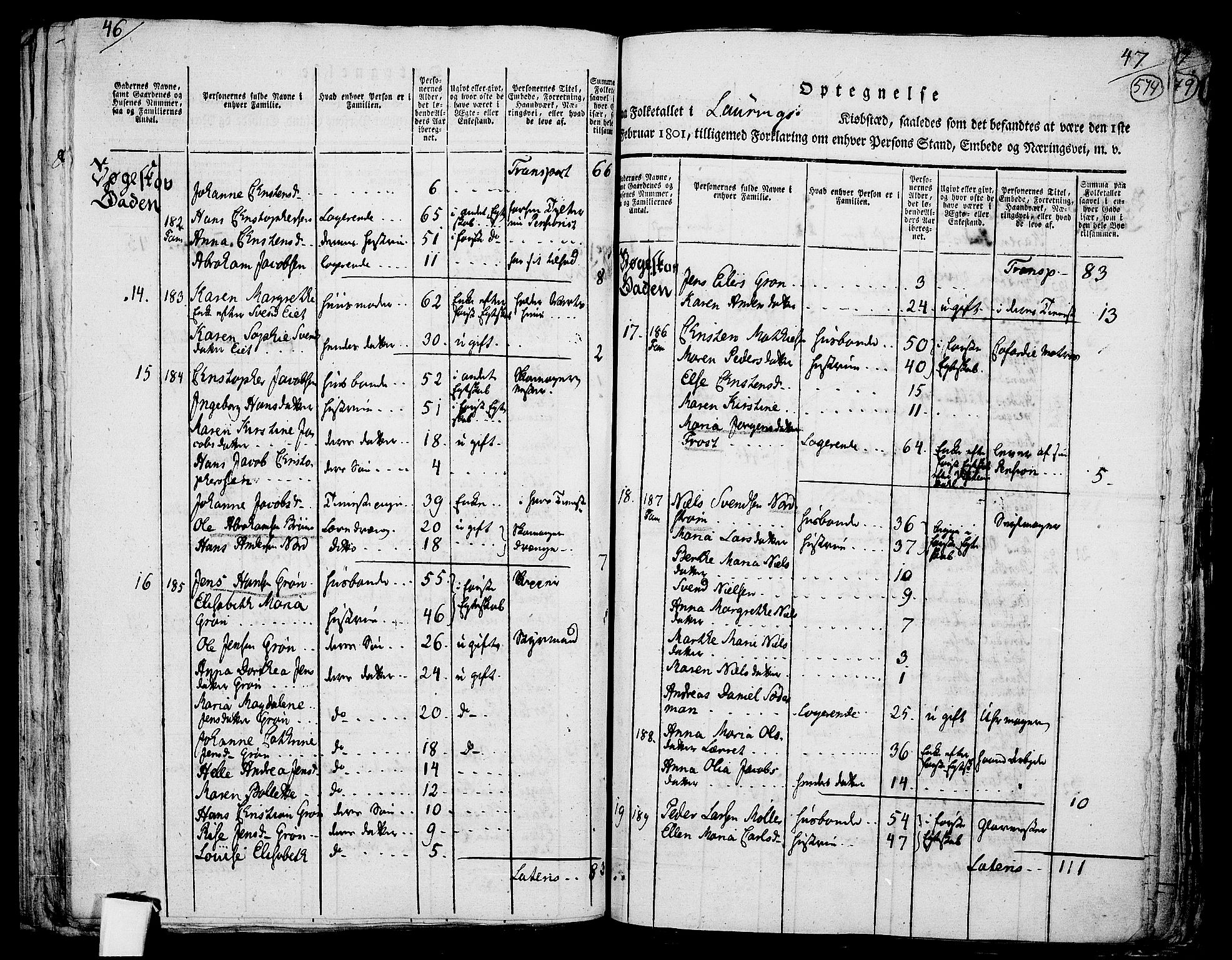 RA, 1801 census for 0707P Larvik, 1801, p. 573b-574a