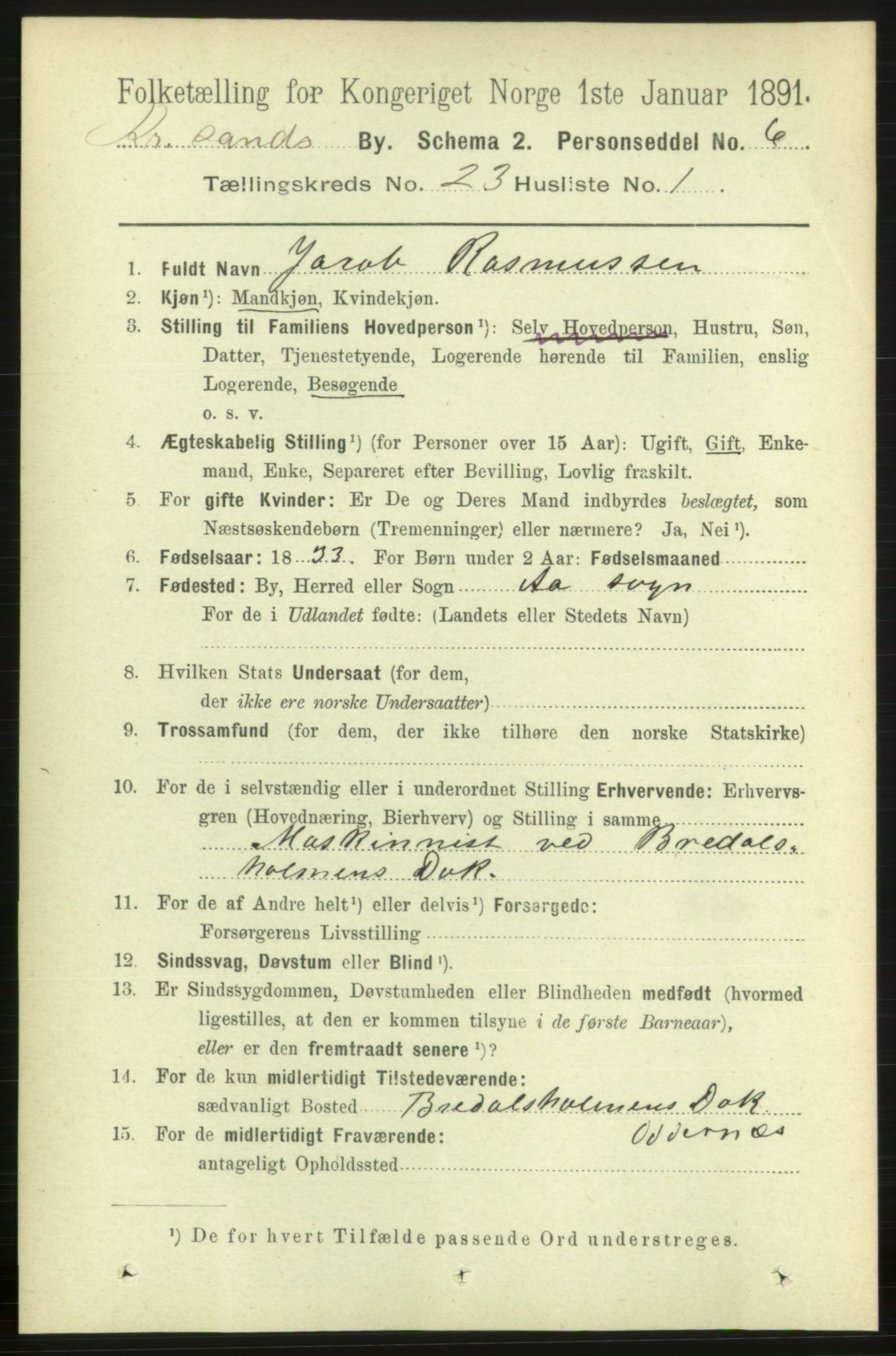 RA, 1891 census for 1001 Kristiansand, 1891, p. 8442