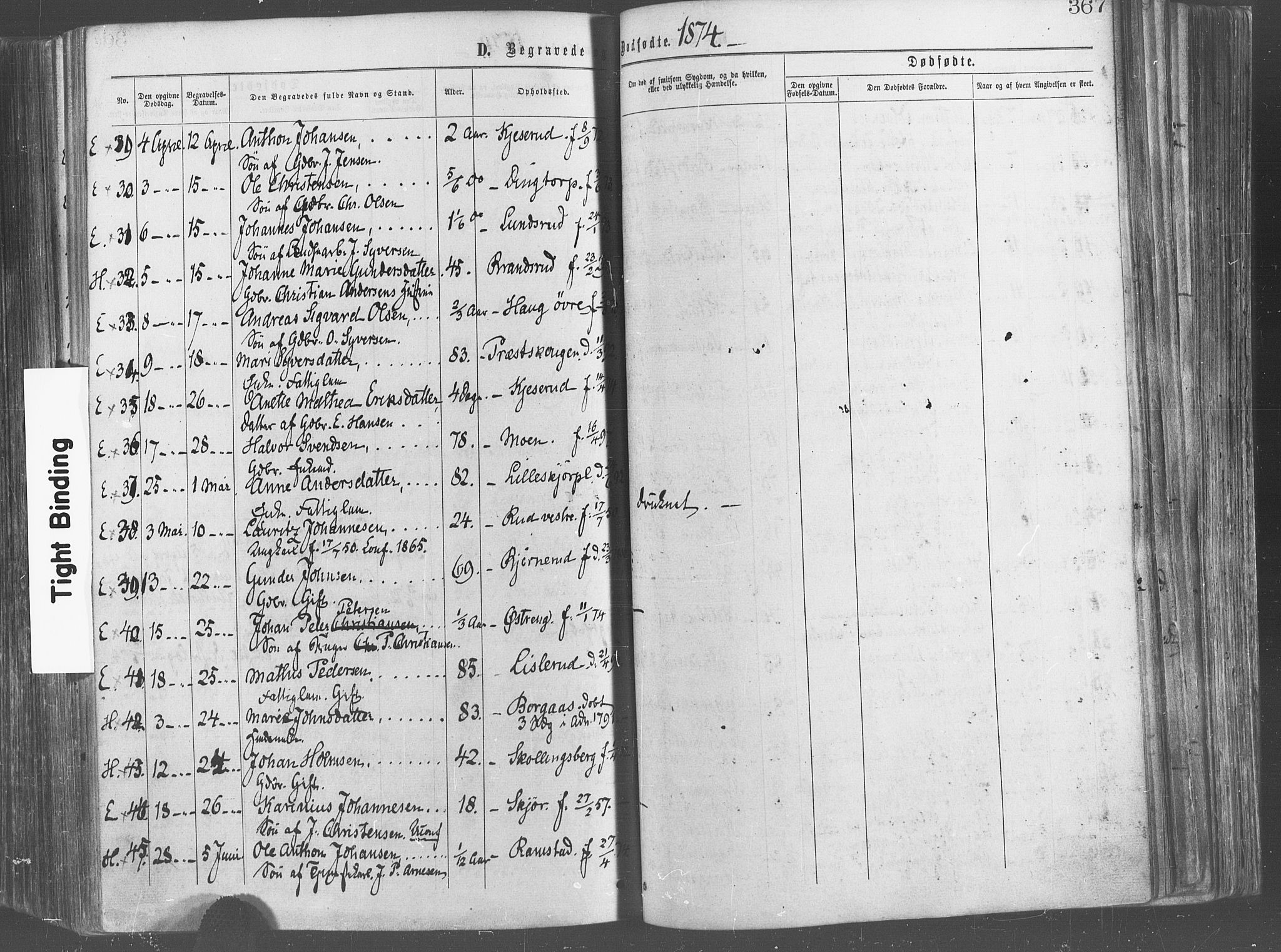 Eidsberg prestekontor Kirkebøker, SAO/A-10905/F/Fa/L0011: Parish register (official) no. I 11, 1867-1878, p. 367