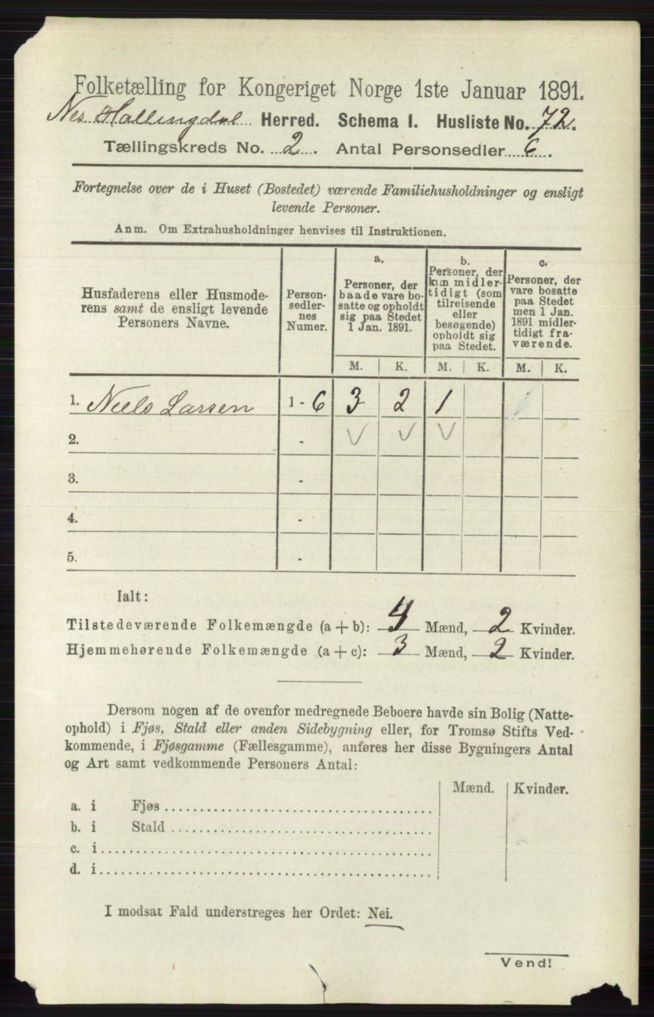 RA, 1891 census for 0616 Nes, 1891, p. 981