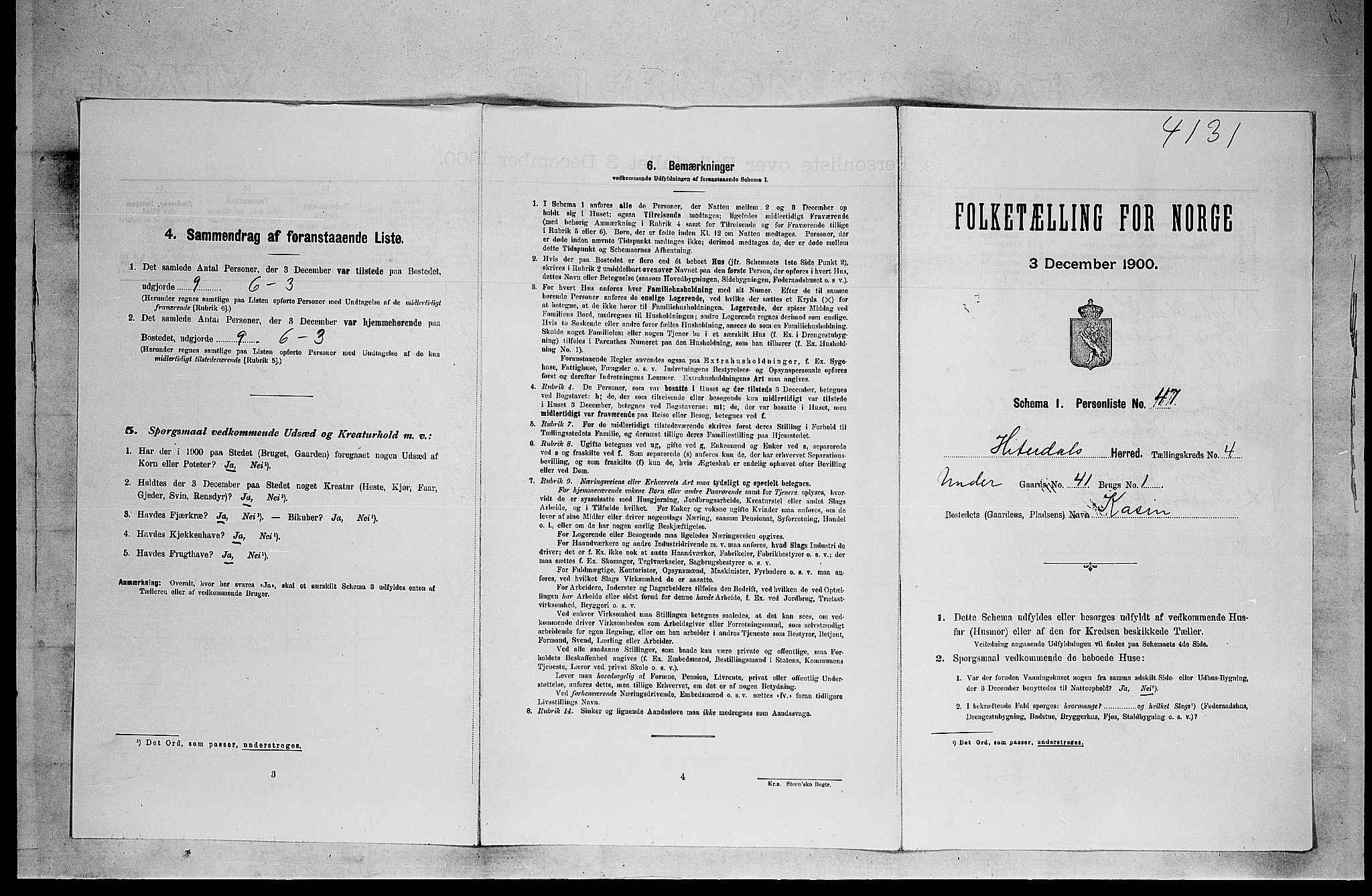 SAKO, 1900 census for Heddal, 1900, p. 598