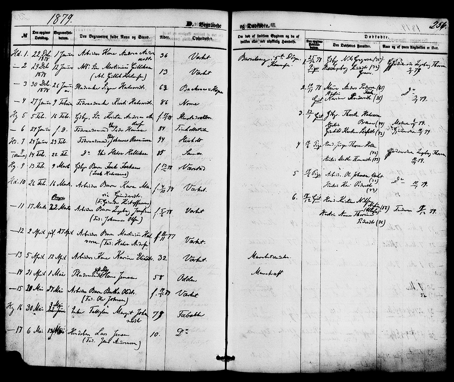 Holla kirkebøker, SAKO/A-272/F/Fa/L0007: Parish register (official) no. 7, 1869-1881, p. 256
