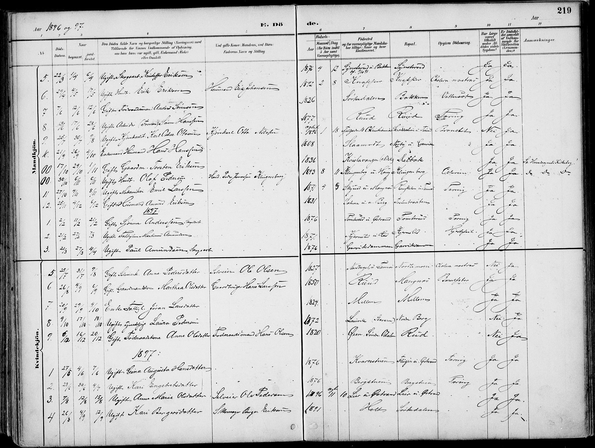 Nord-Odal prestekontor, SAH/PREST-032/H/Ha/Haa/L0008: Parish register (official) no. 8, 1886-1901, p. 219