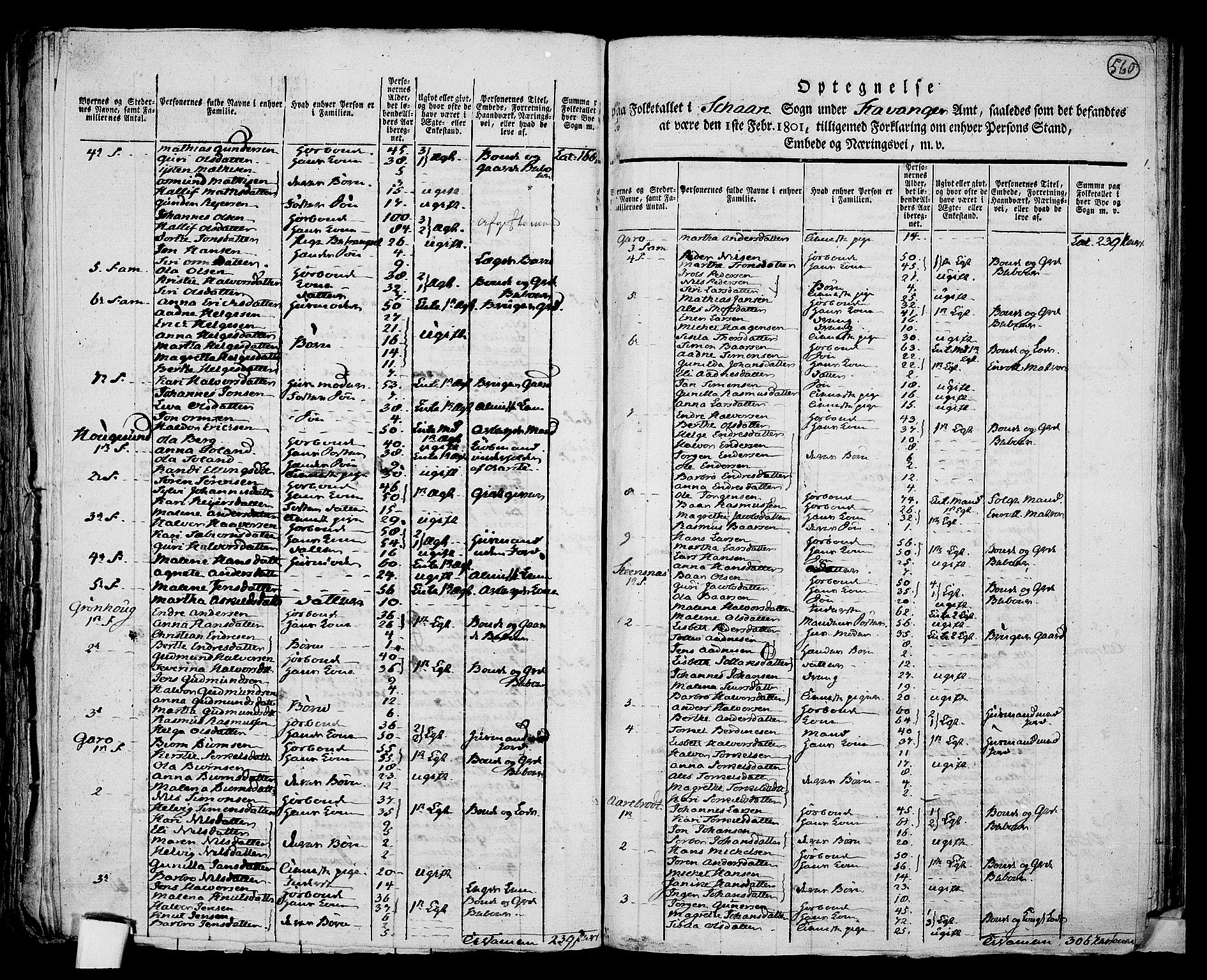 RA, 1801 census for 1152P Torvastad, 1801, p. 559b-560a