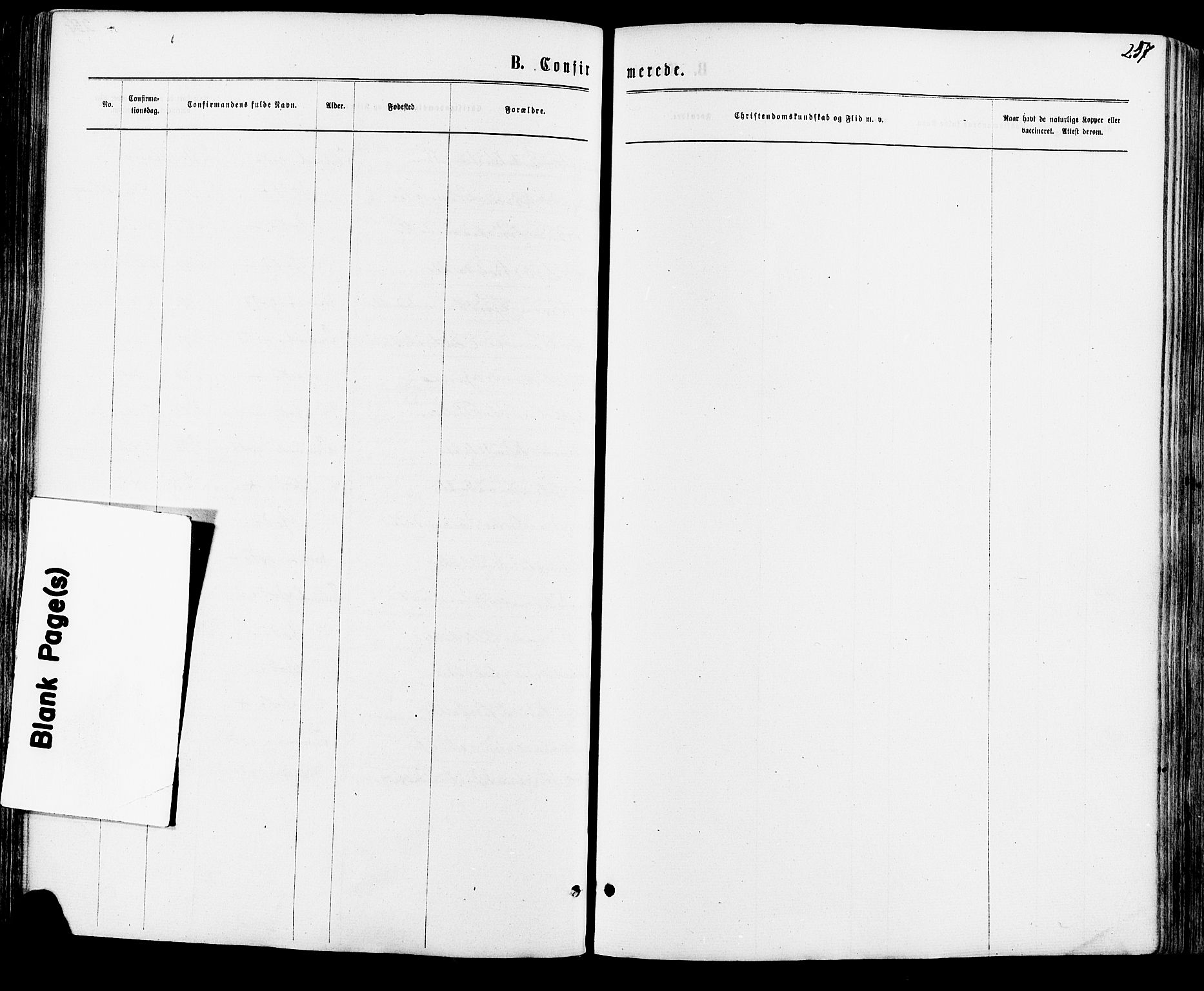 Vang prestekontor, Hedmark, AV/SAH-PREST-008/H/Ha/Haa/L0015: Parish register (official) no. 15, 1871-1885, p. 257